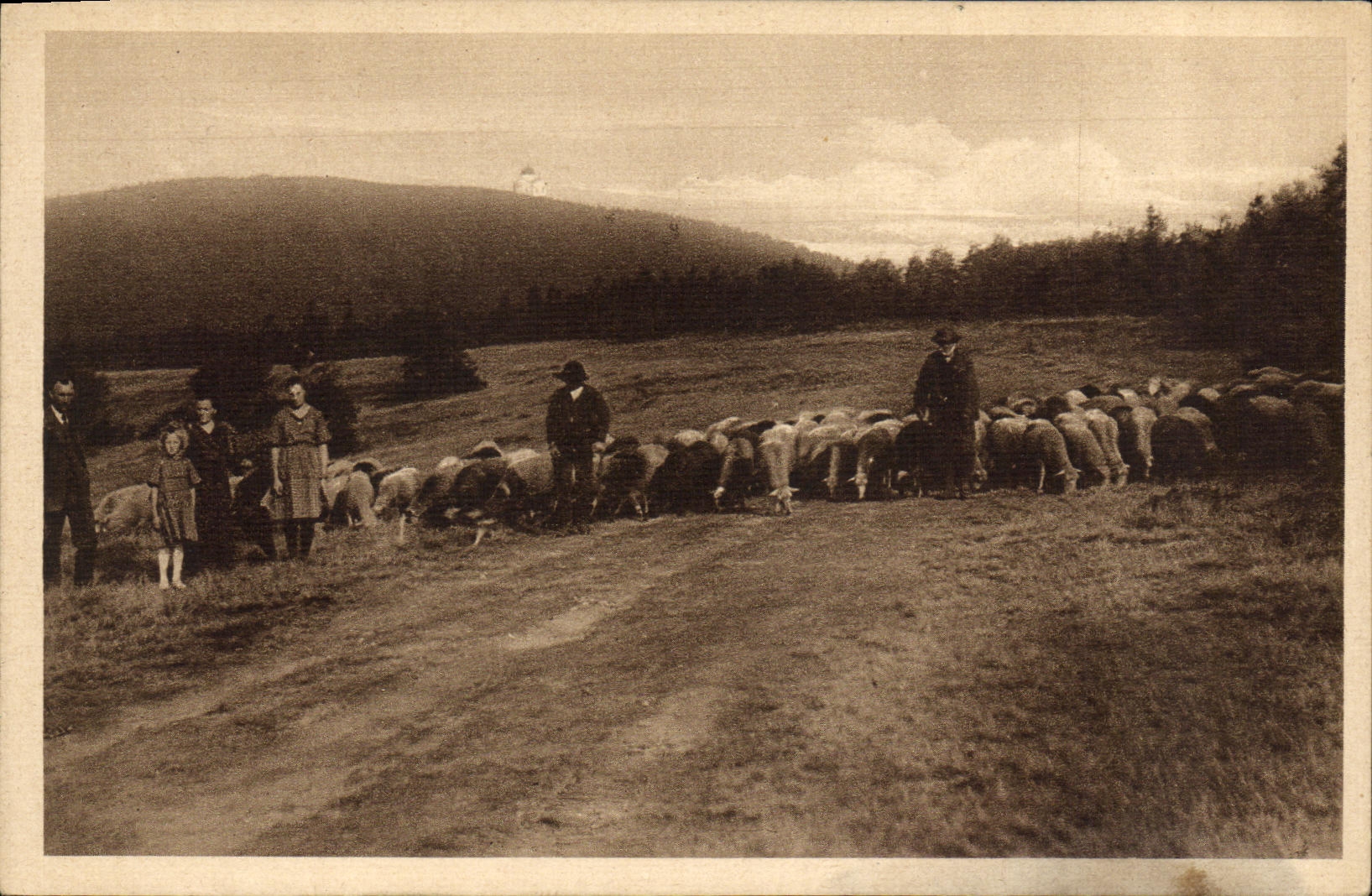 CPA Partie na Radhosti Berger Moutons