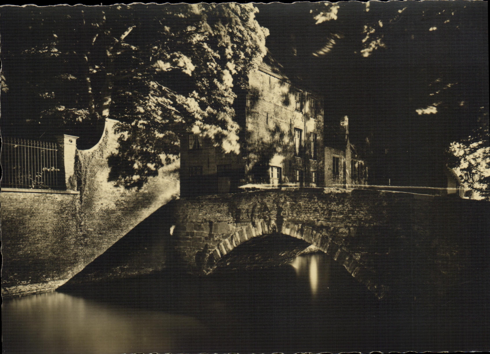 Rei de Brujas De Groene de la furgoneta de Verlichtingen de la POSTAL de la VENDIMIA