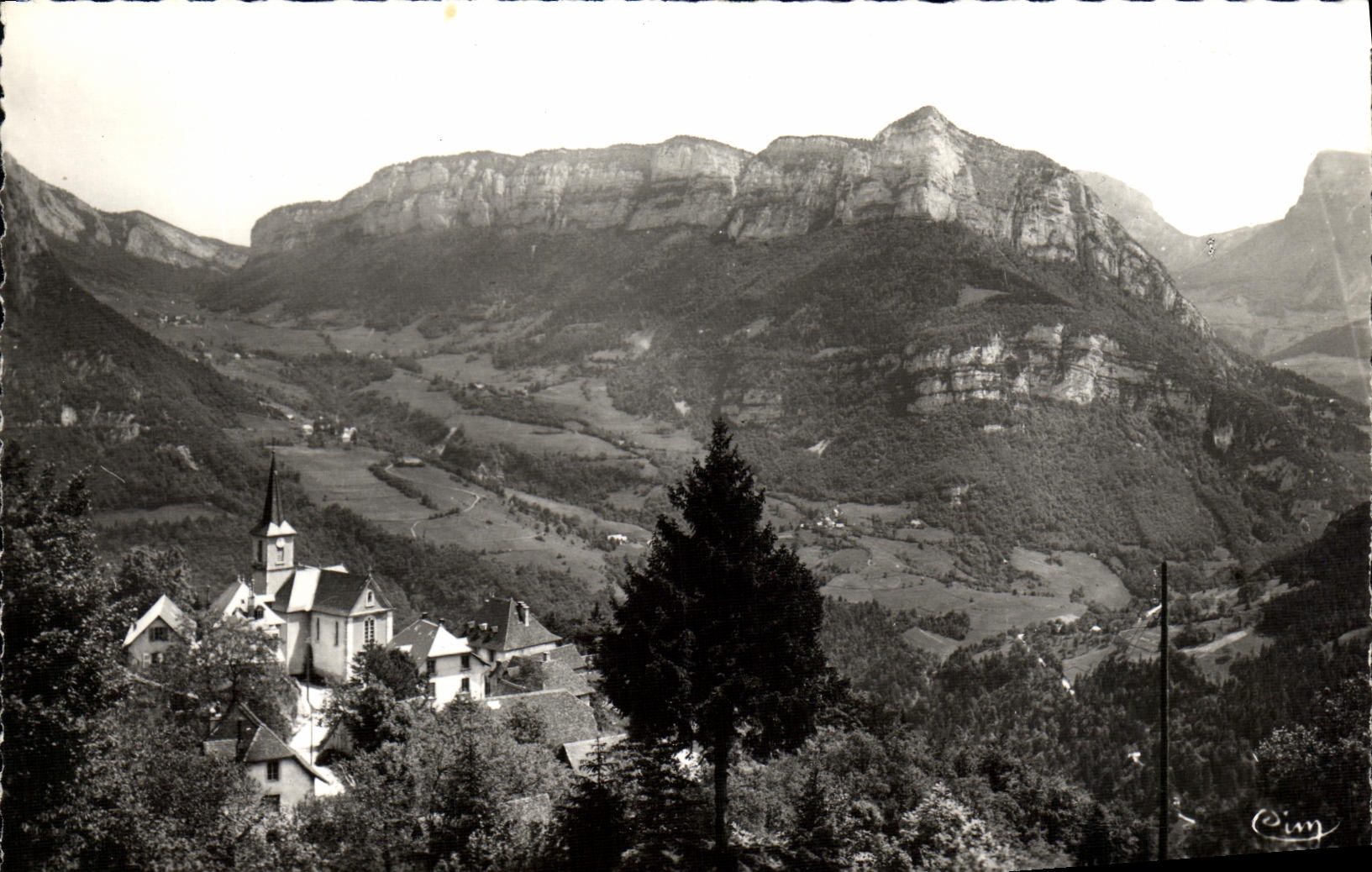VINTAGE POSTCARD Massive Of Large chartreuse Ruchere