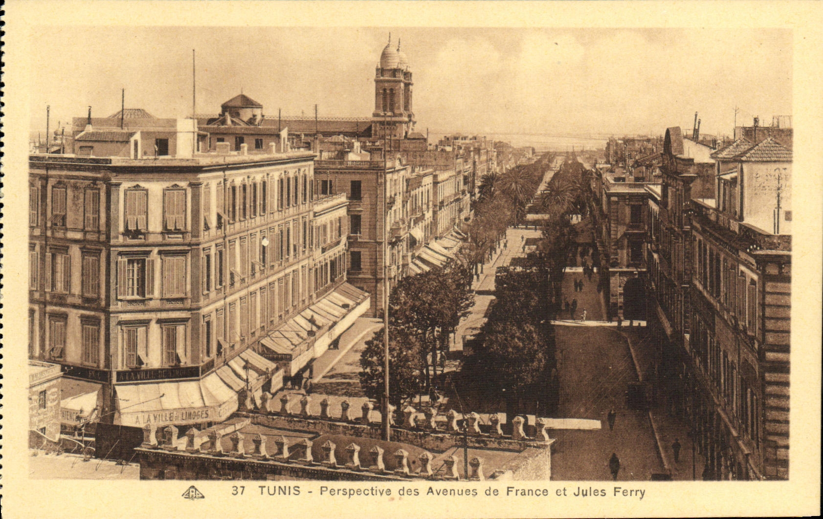 VINTAGE POSTCARD perspective Tunis of the avenues of France and Jules ferry