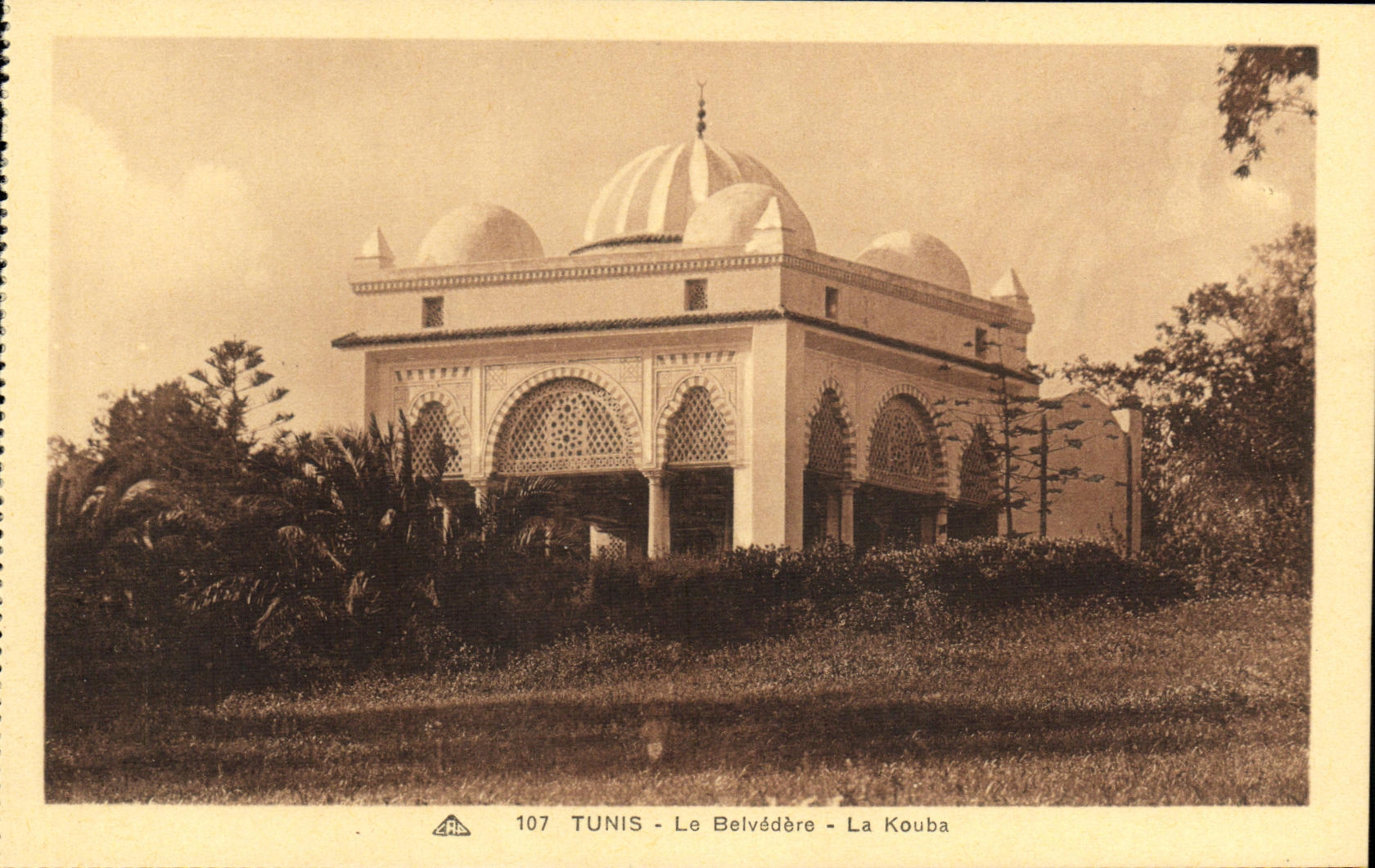 VINTAGE POSTCARD Tunis the View-point Kouba