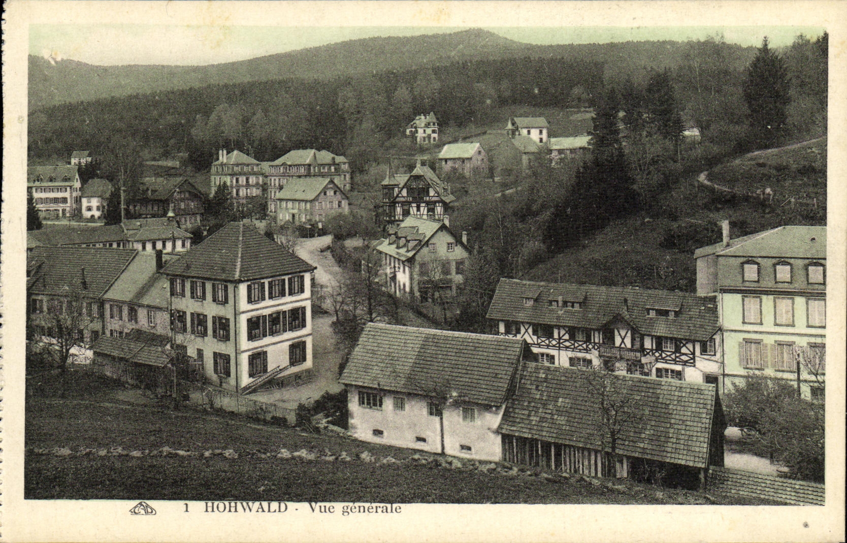 VINTAGE POSTCARD Hohwald View