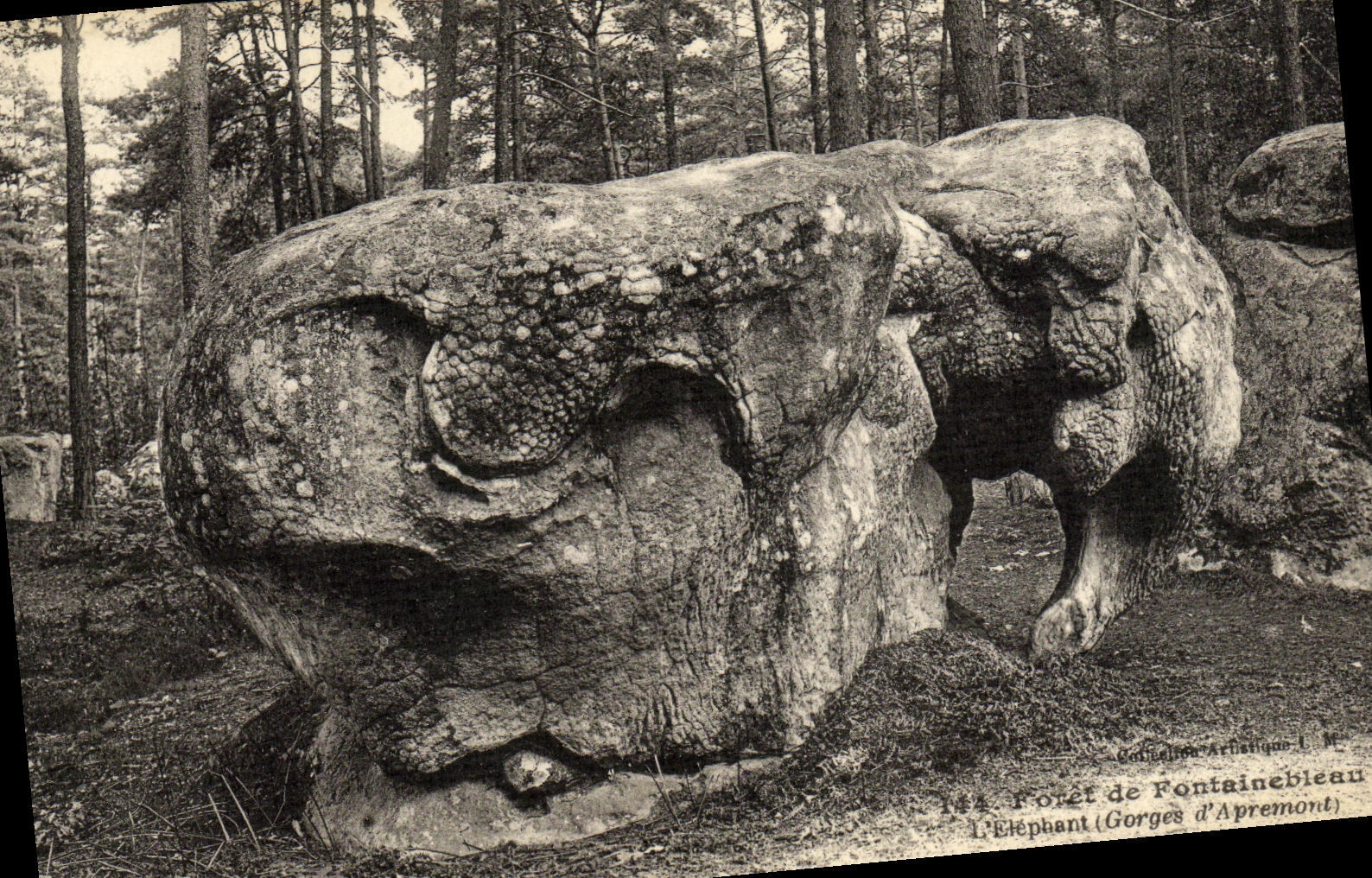 CPA Foret De Fontainebleau L'Elephant Gorges d'Apremont