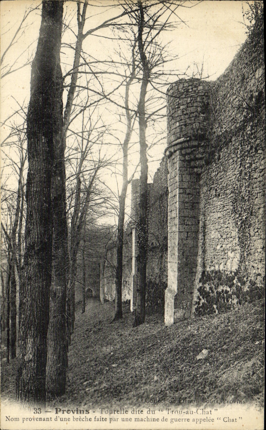 La POSTAL de la VENDIMIA acodó la torrecilla de las ramas sabida en fecha el agujero al gato