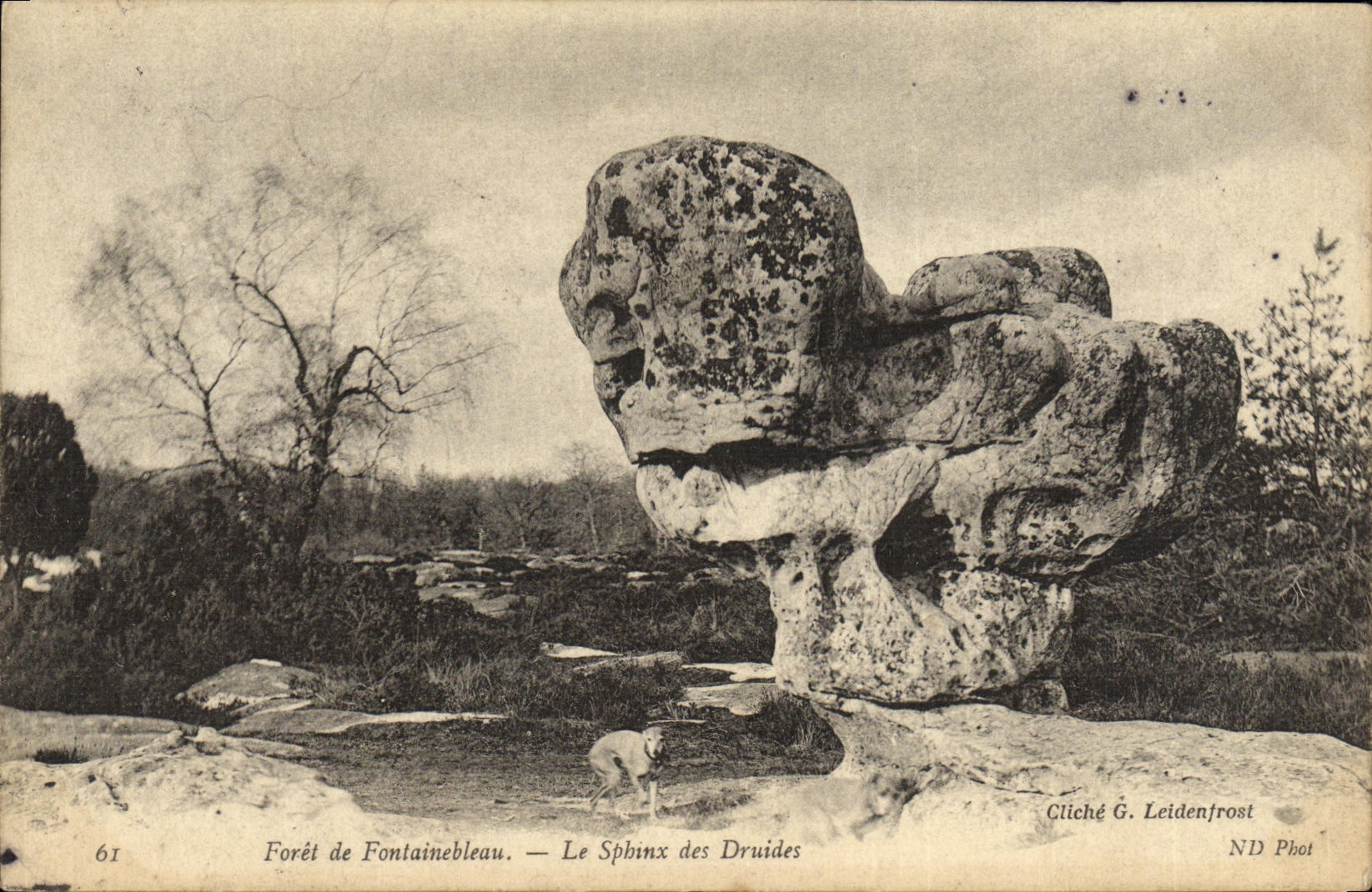 VINTAGE POSTCARD Drill of Fontainebleau the spbinx of the druids