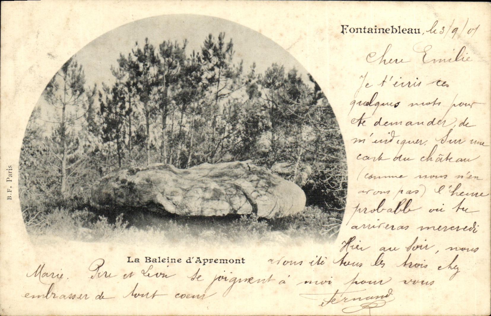 CPA Fontainebleau La Baleine d'Apremont