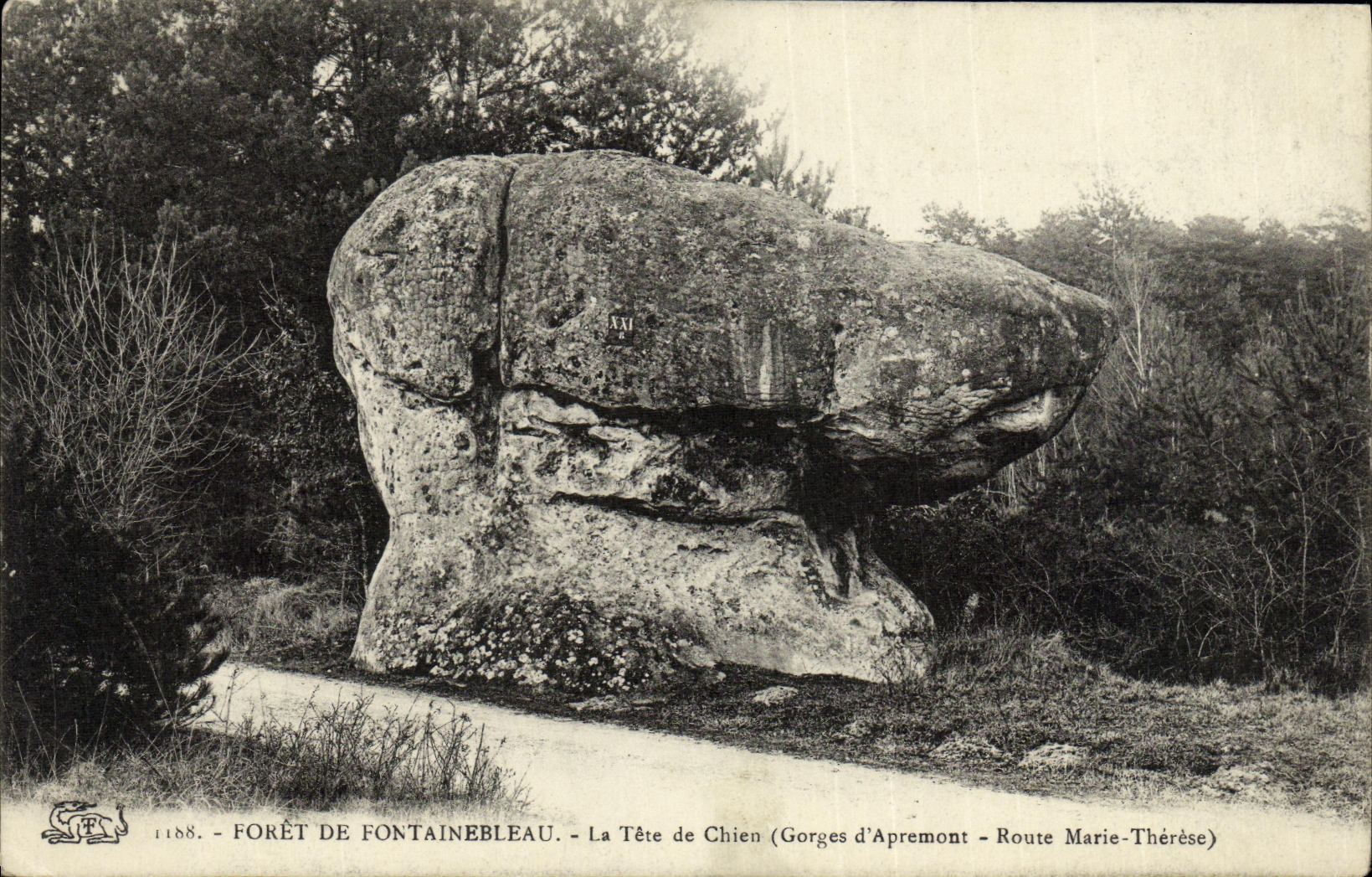 CPA Foret De Fontainebleau La tete de chien Gorges d'Apremont Route Marie Therese
