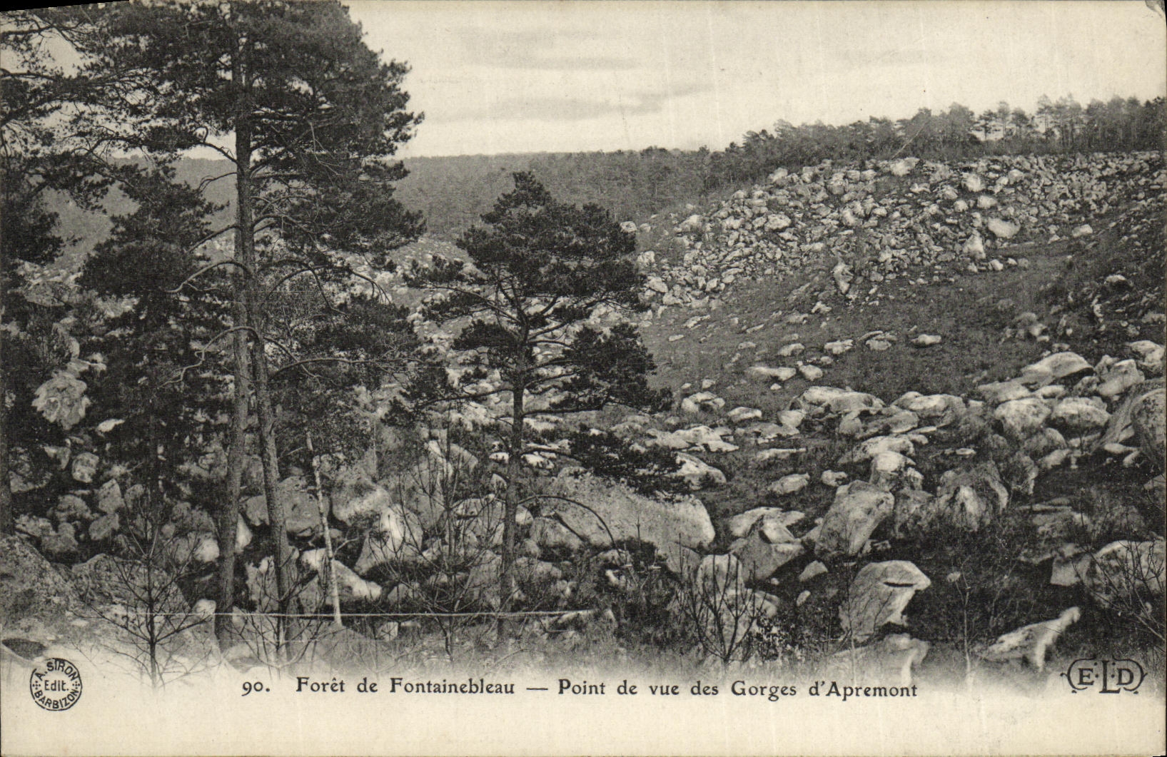 CPA Foret De Fontainebleau point de vue des gorges d'apremont