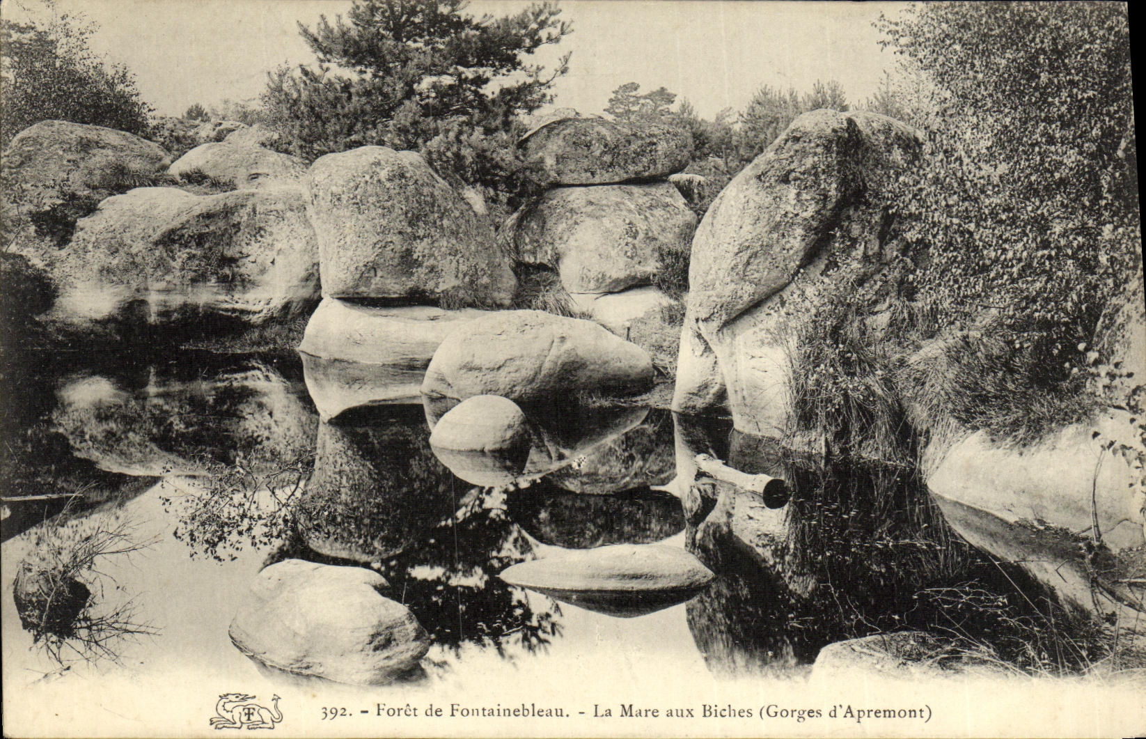 CPA Foret De Fontainebleau La Mare aux Biches Gorges d'Apremont