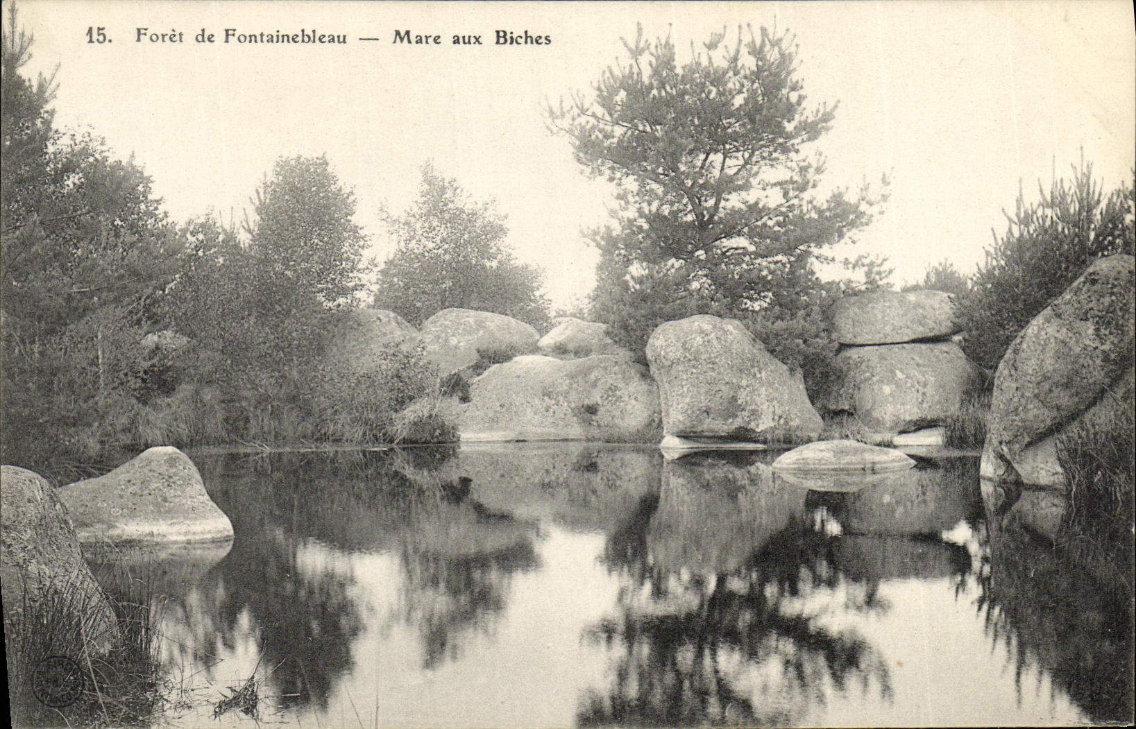 CPA Foret De Fontainebleau Mare aux Biches