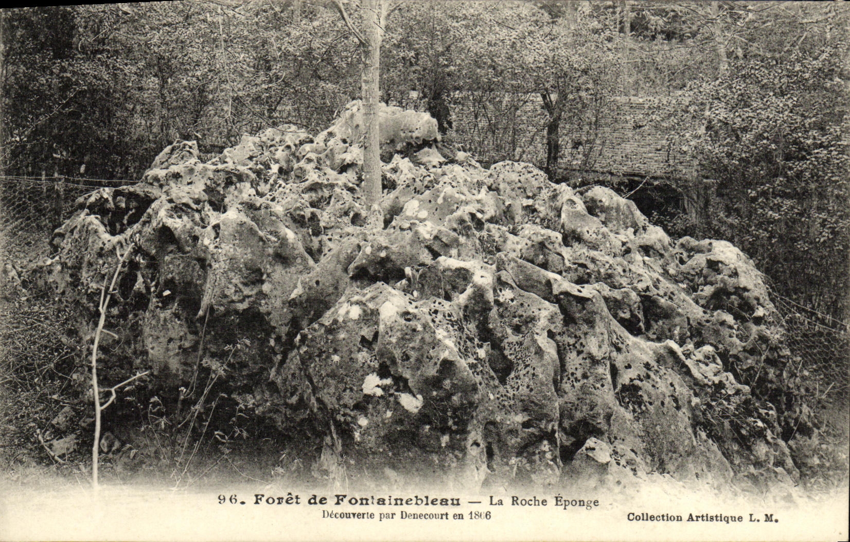 CPA Foret De Fontainebleau La roche eponge