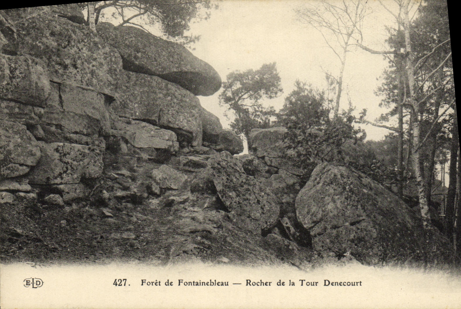 CPA Foret De Fontainebleau Rocher de la tour Denecourt