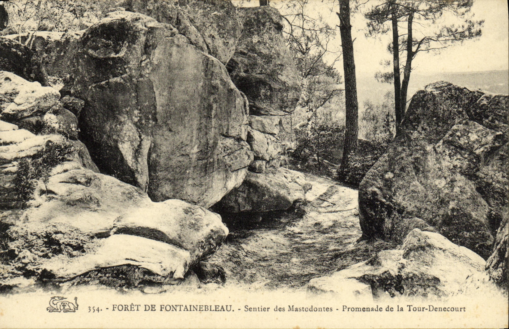 CPA Foret De Fontainebleau Sentier des mastodontes Promenade de la Tour Denecourt