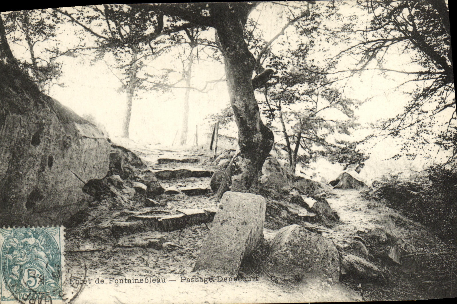 CPA Foret De Fontainebleau Passage denecourt