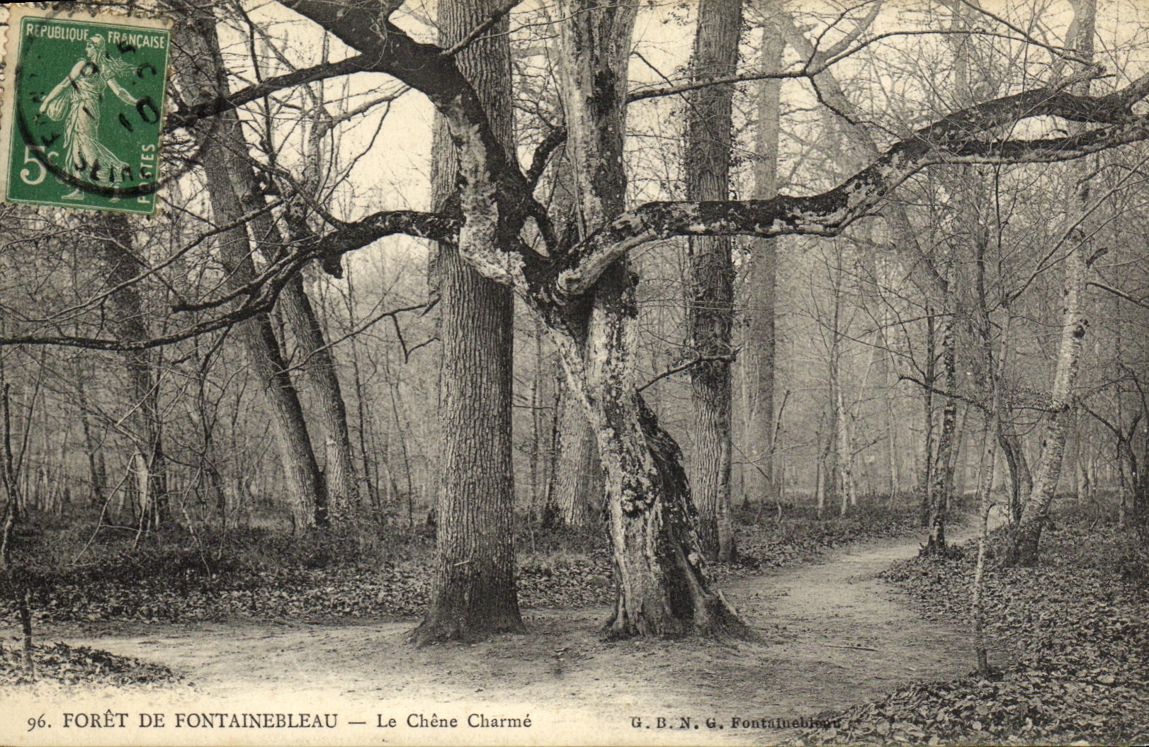 CPA Foret De Fontainebleau Le Chene charme