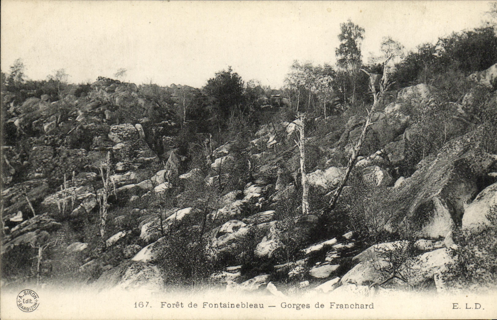 CPA Foret De Fontainebleau Gorges De Franchard