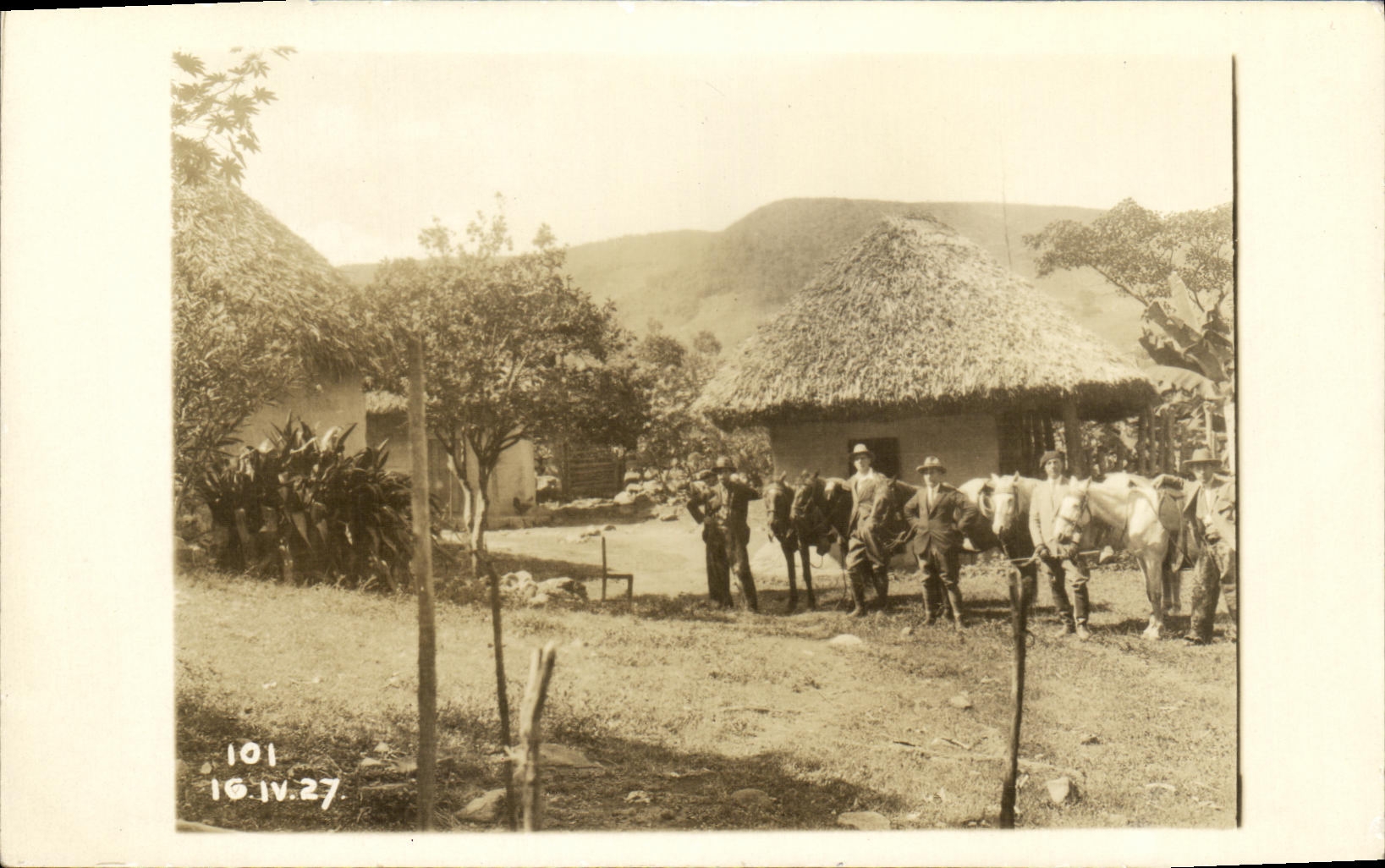 CARTE PHOTO 1927 Explorateurs sous les tropiques Chevaux