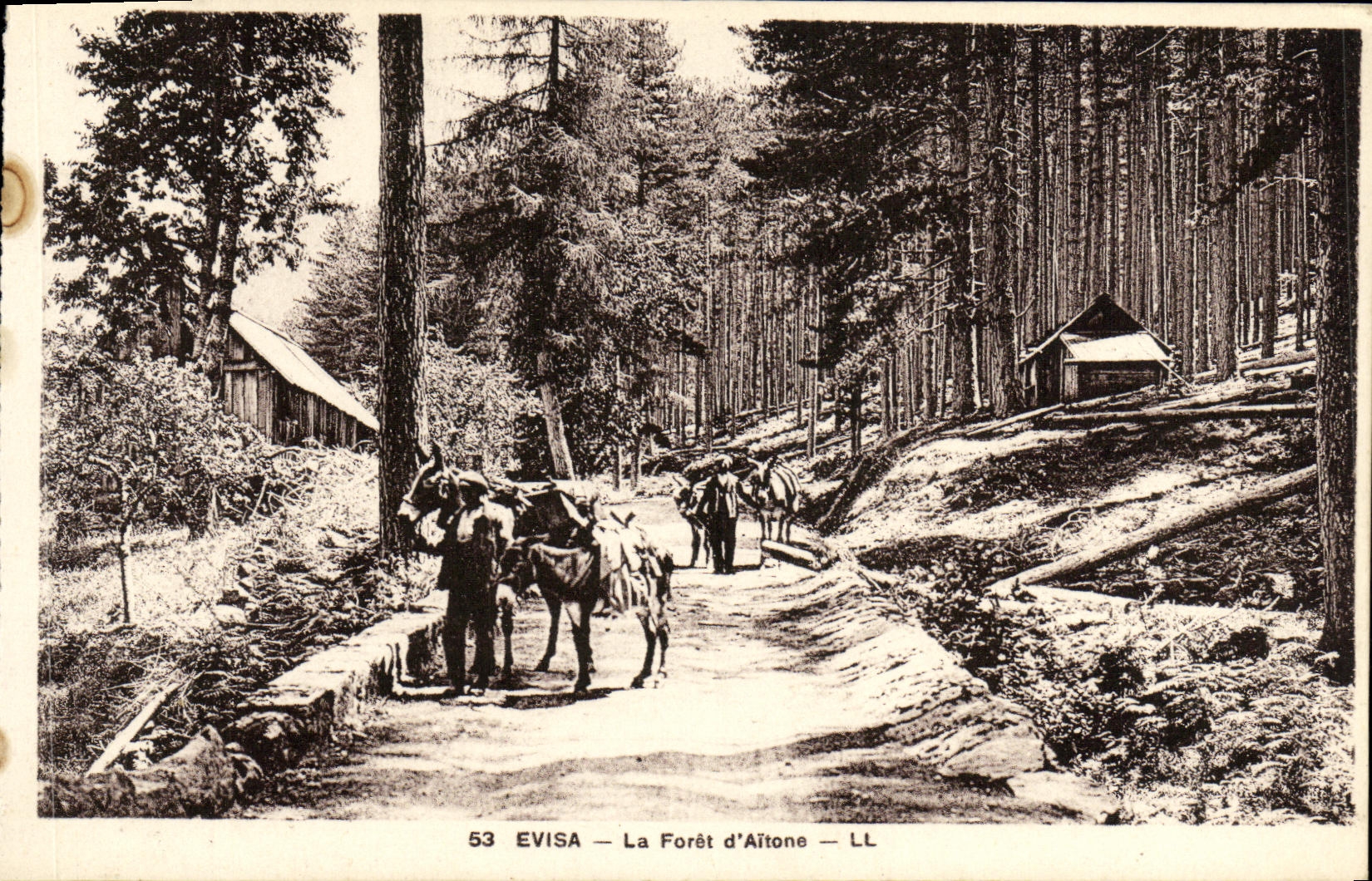 VINTAGE POSTCARD Evisa the drill of altone