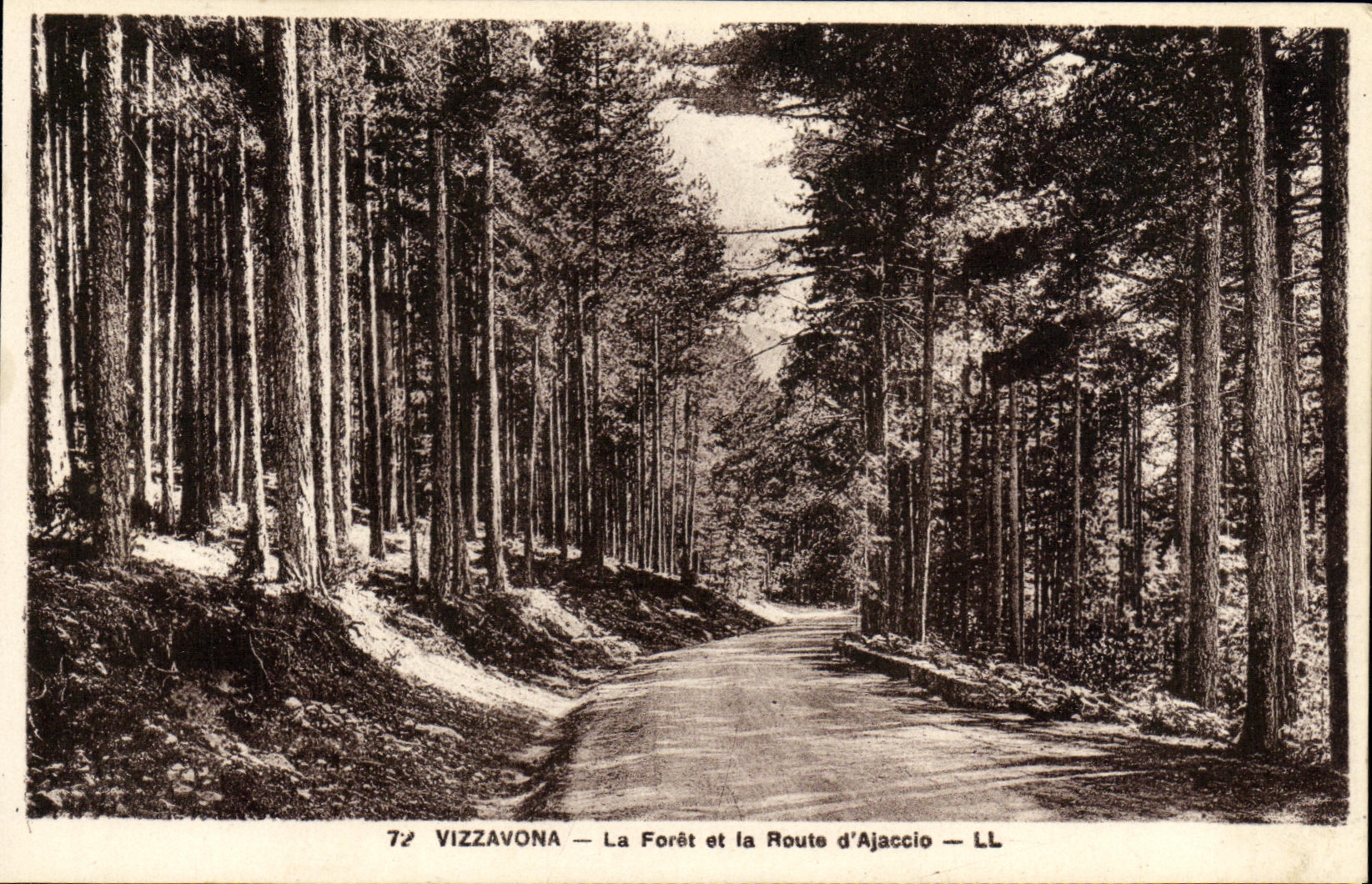 VINTAGE POSTCARD Vizzavona the Drill And the road of ajaccio