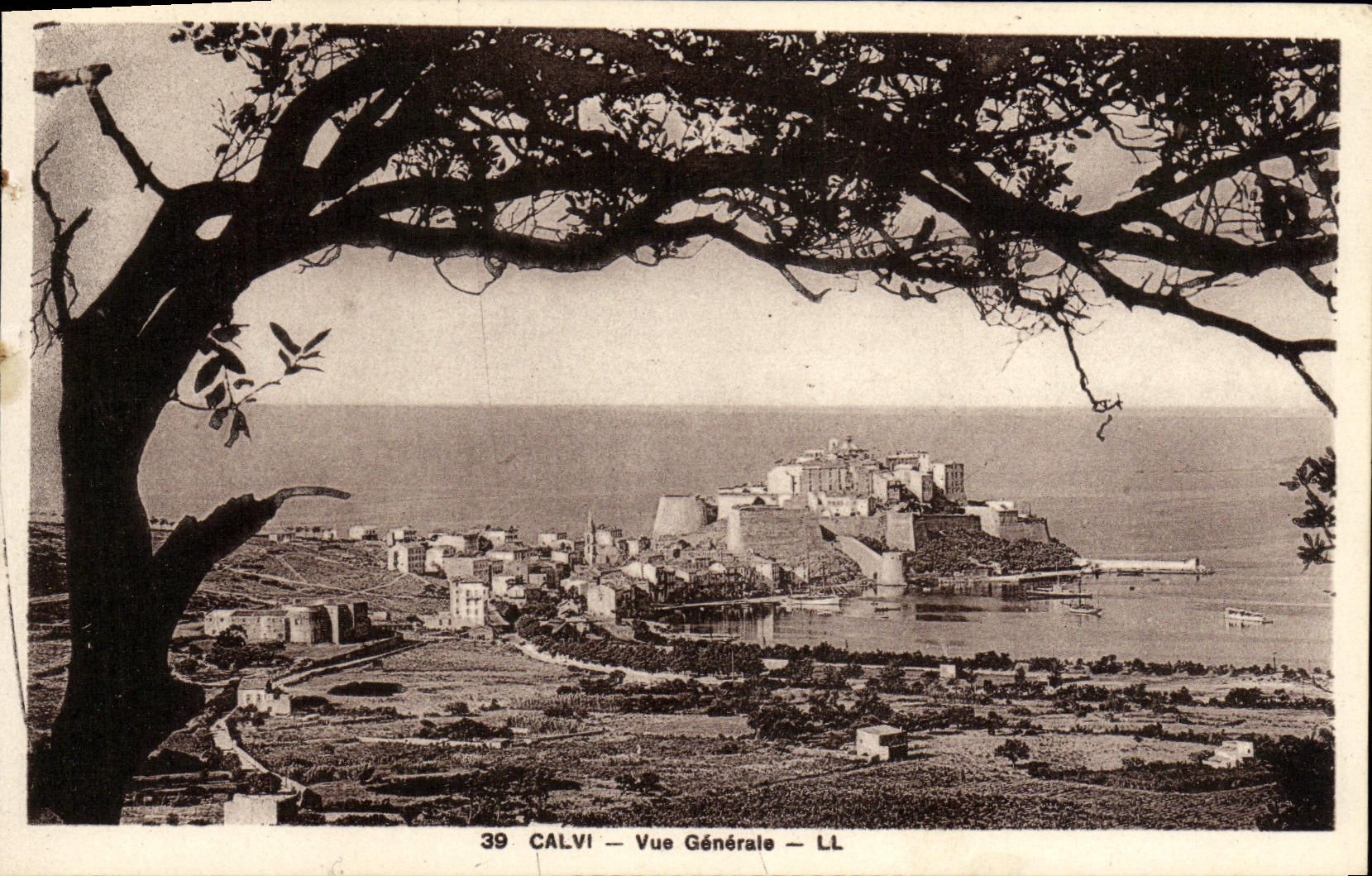 VINTAGE POSTCARD Calvi View