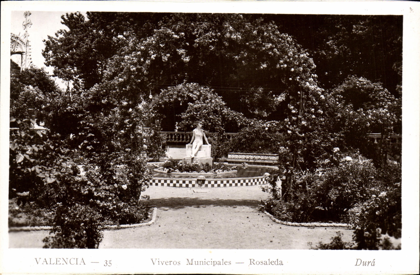 CPA Valencia Viverpos Municipales Rosaleda