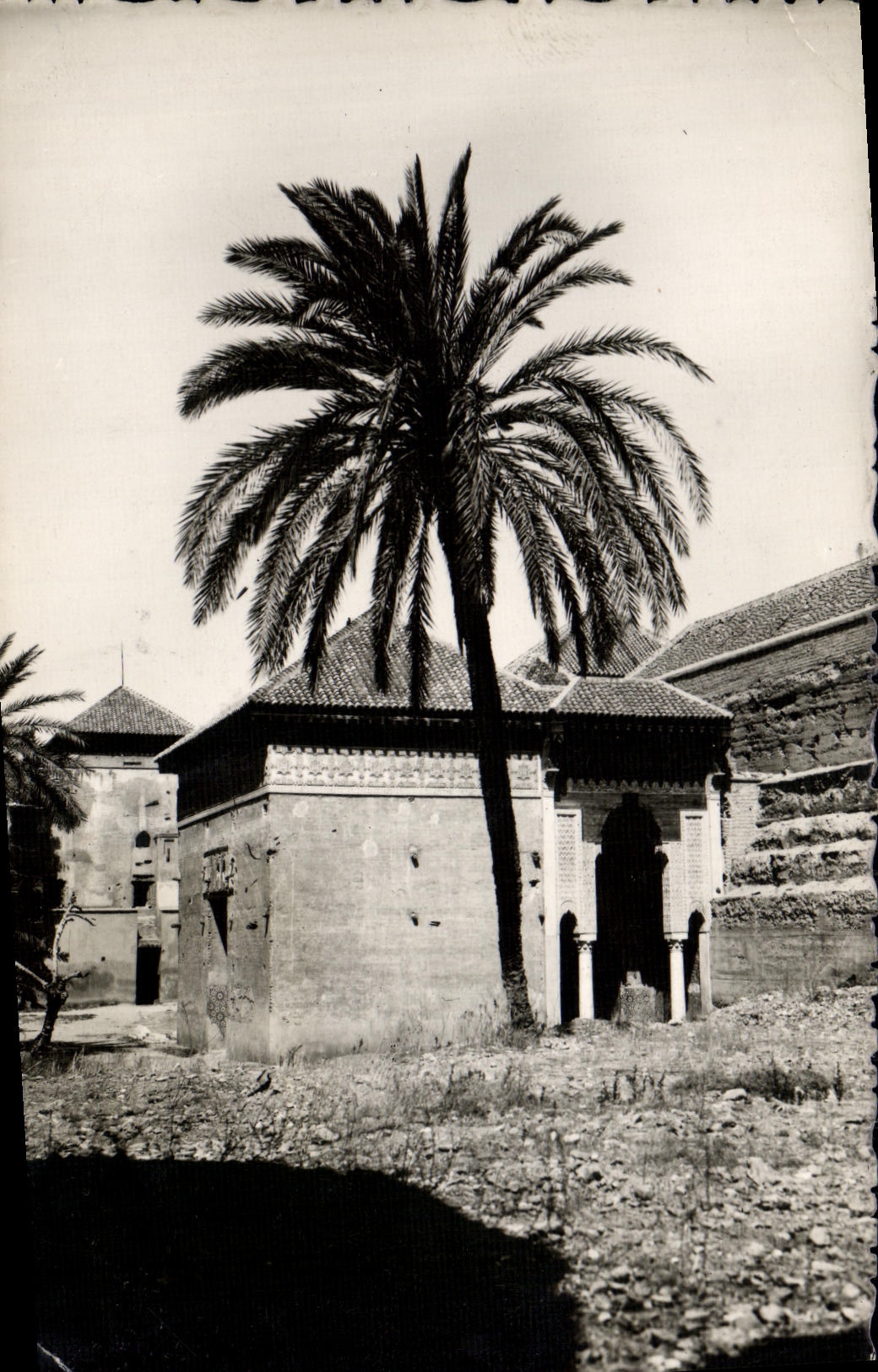 VINTAGE POSTCARD Marrakech