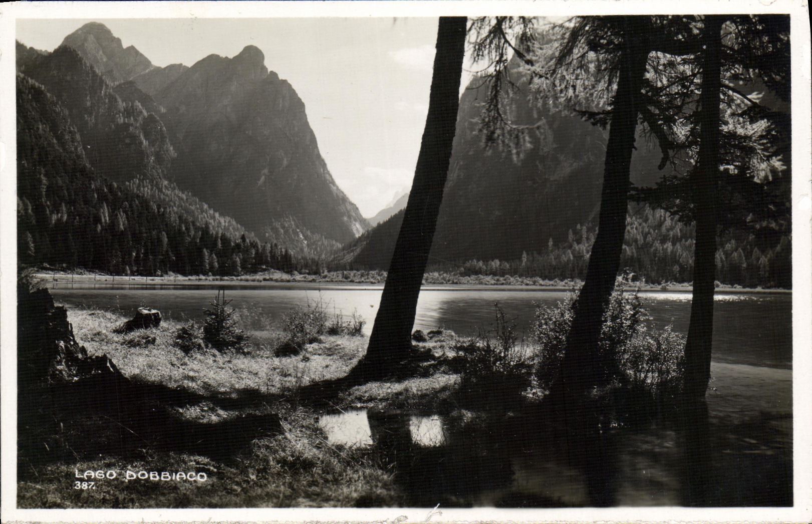 POSTAL Lago Dobbiaco de la VENDIMIA