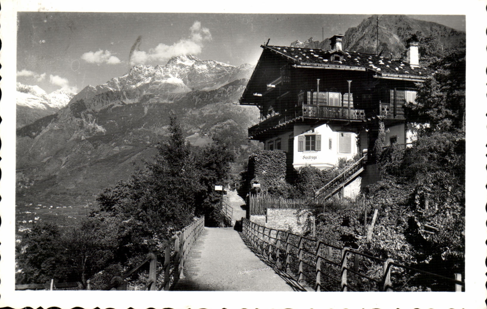 CPA Merano Passeggiafa Principessa di Piemonte dol gouppo di Tessa