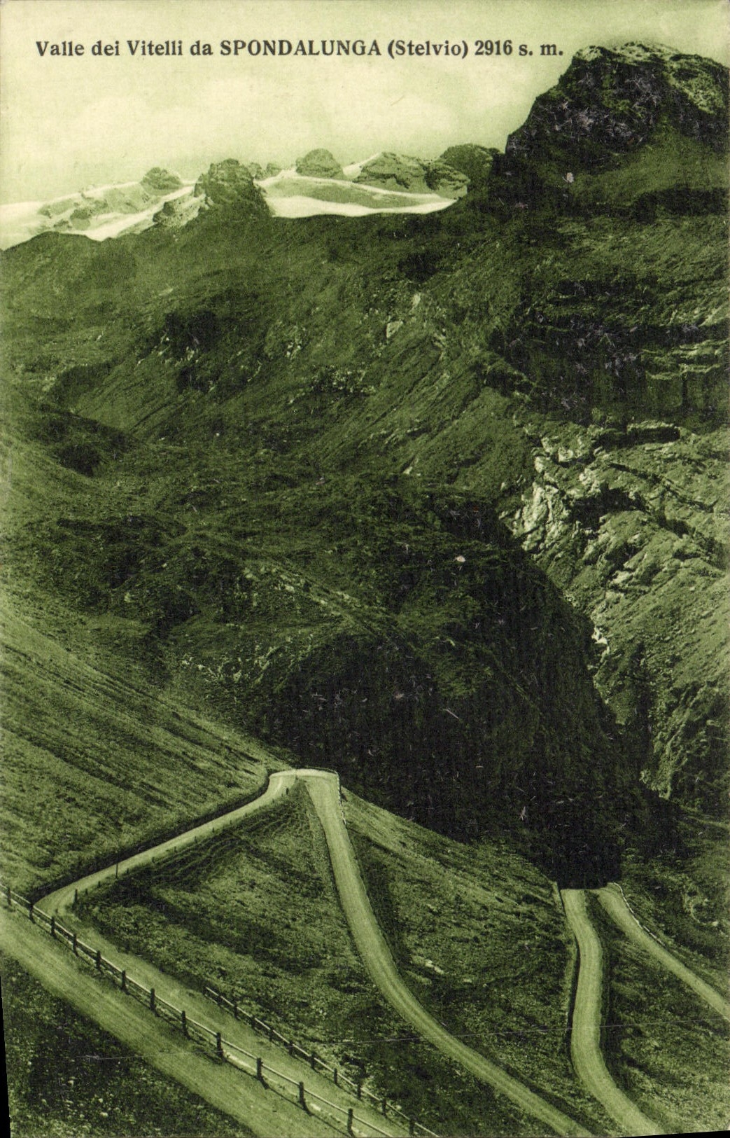 Dei Vitelli DA Spondalunga de Valle de la POSTAL de la VENDIMIA