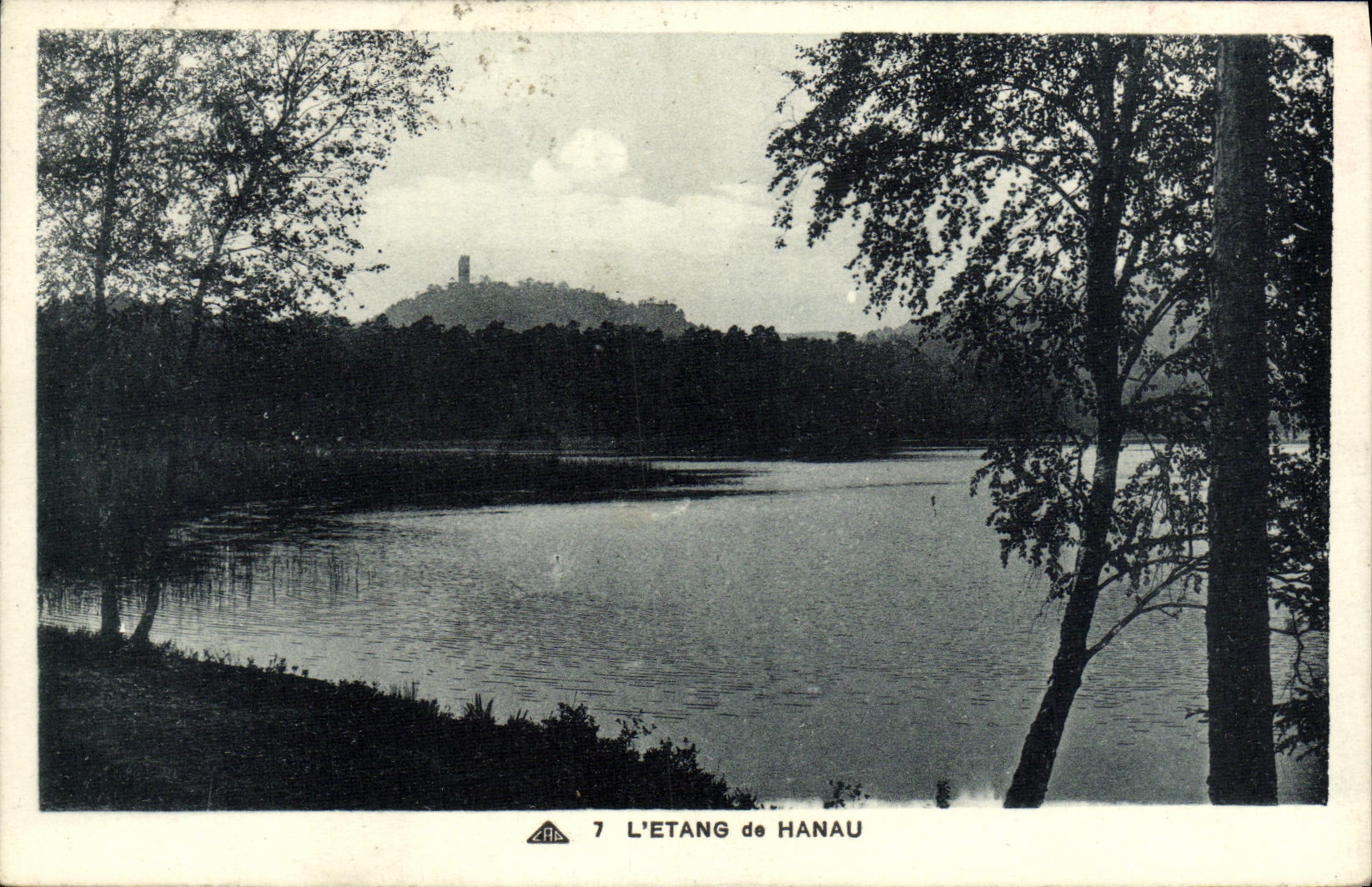 VINTAGE POSTCARD the Pond of Hanau