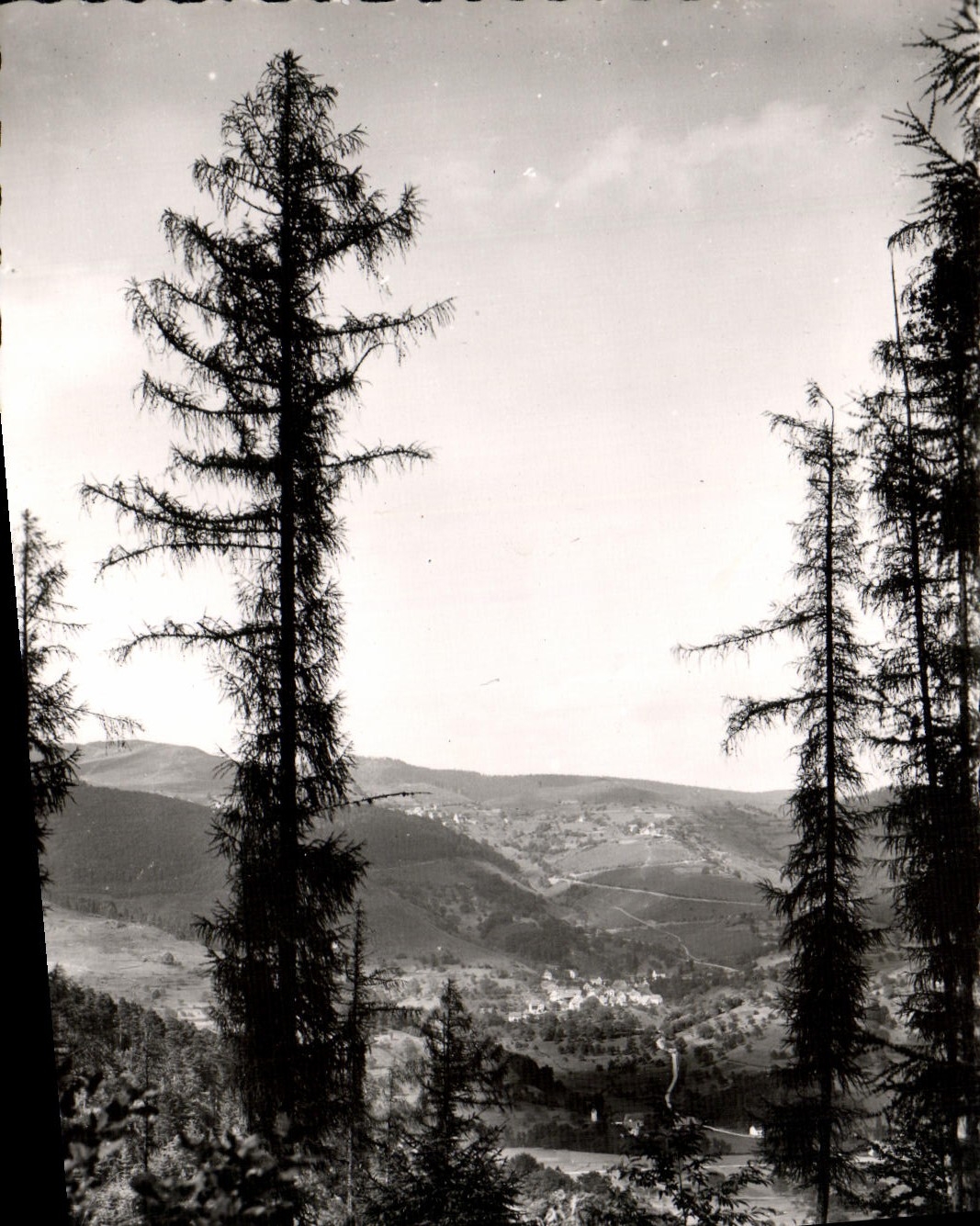 POSTAL de la VENDIMIA el valle De Munster Hohrod y Hohrodberg