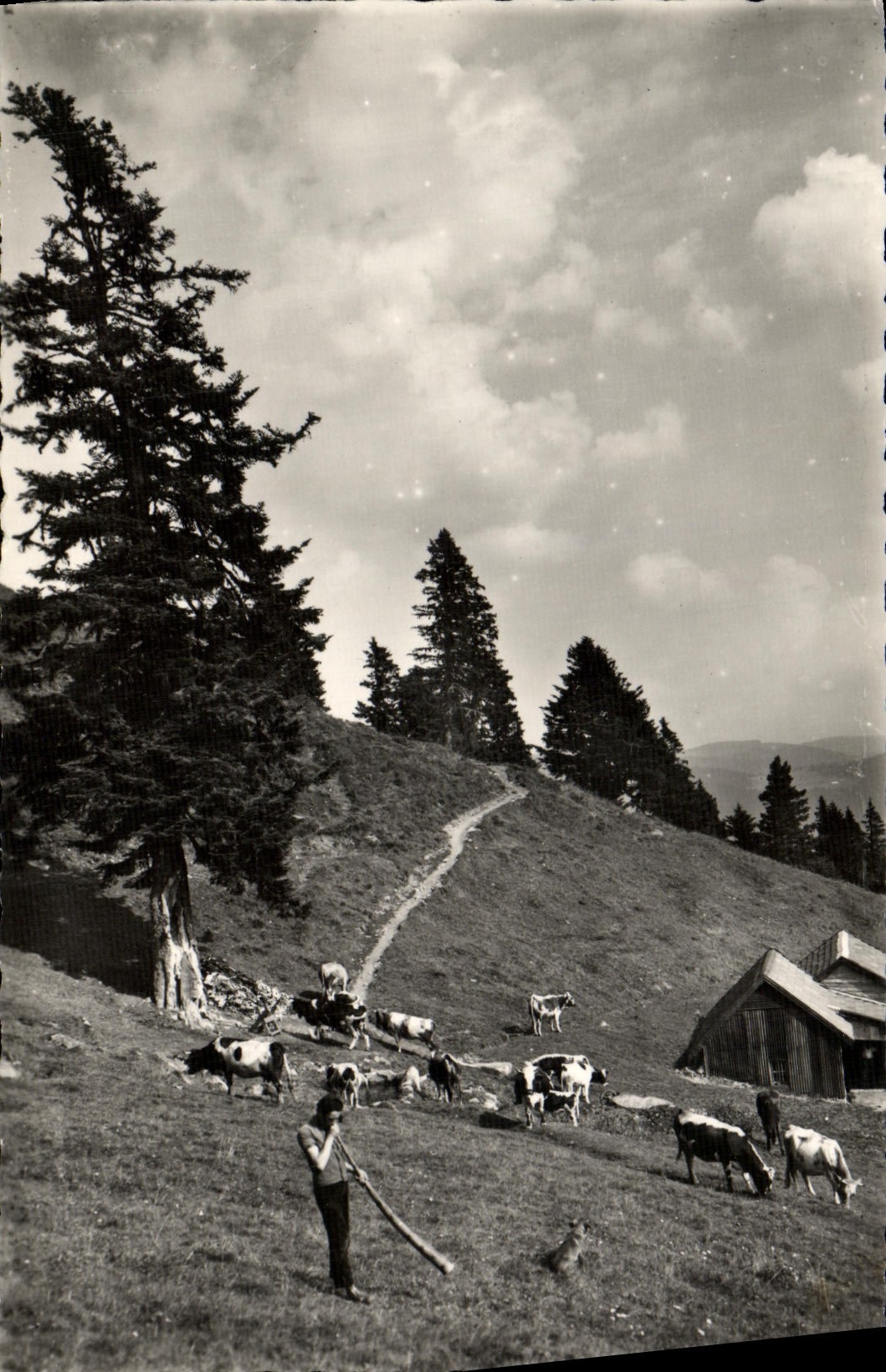 POSTAL MODERNA el valle de Munster cierra la restauración de Schalleren