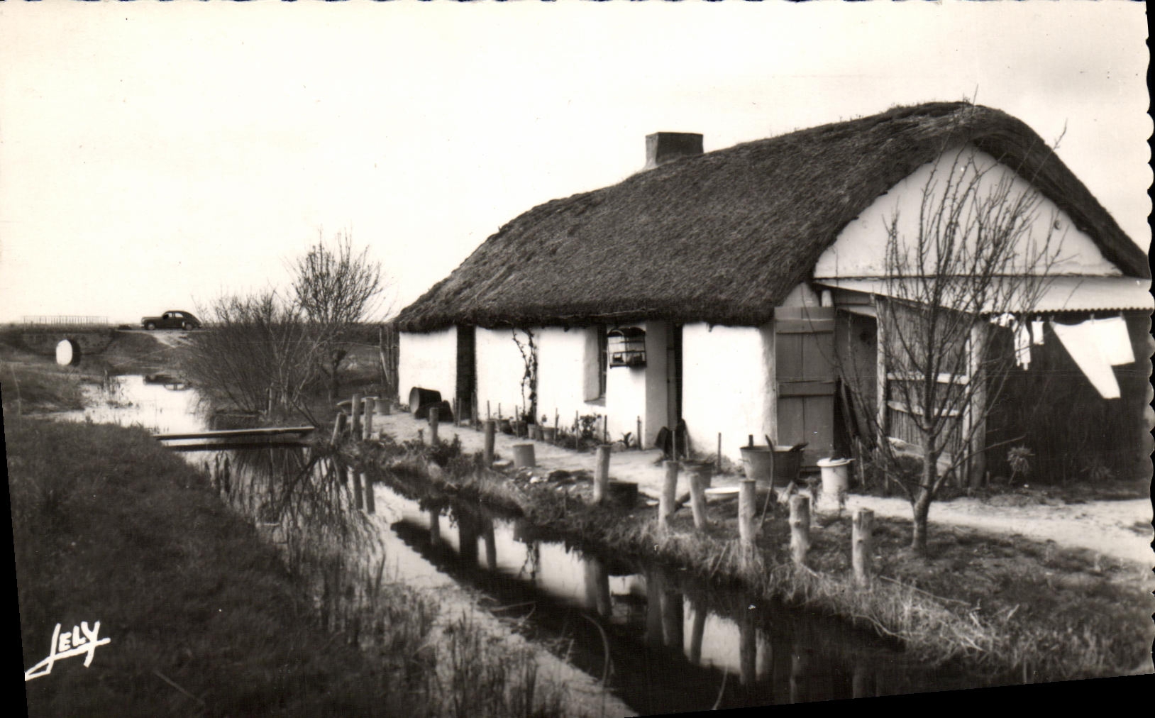 MODERN CARD With the Country of Mounts Bourine