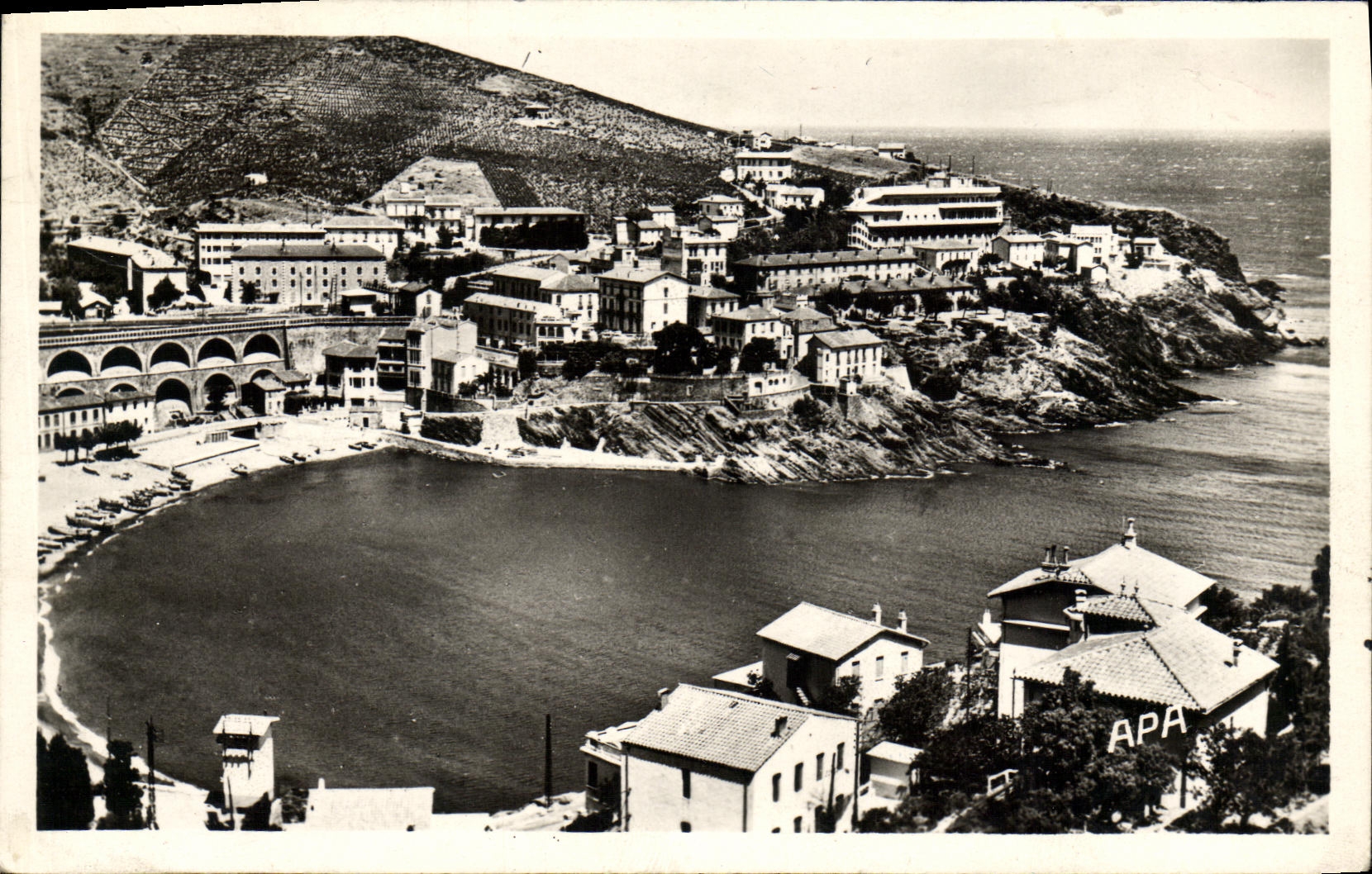 MODERN CARD Cerberus Beach and ISCED Many