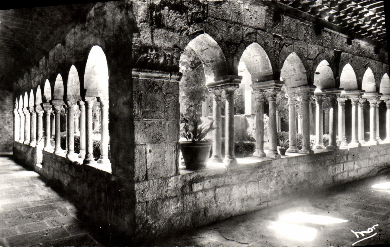 VINTAGE POSTCARD the Dimension Of Azure Frejus the Cloister of 12th