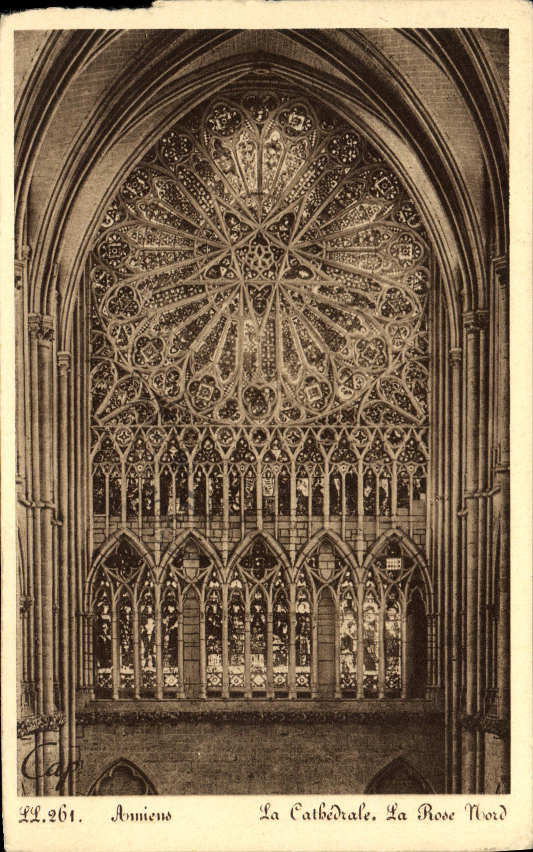 CPA Amiens La Cathedrale La Rose nord