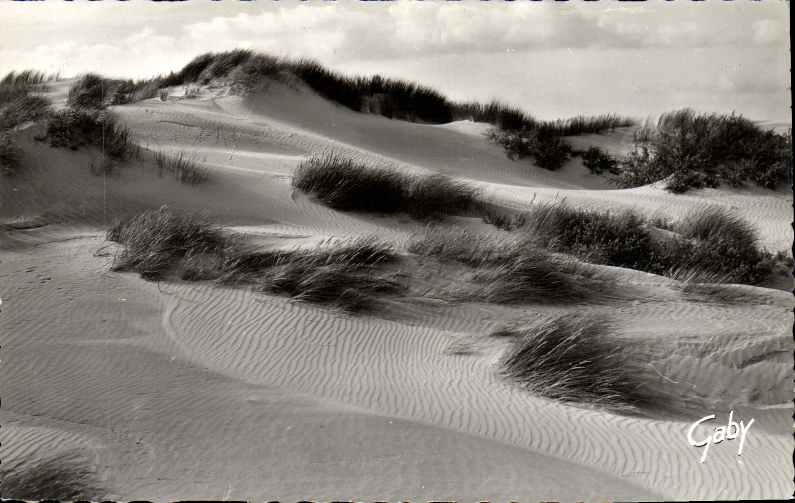 Dunas del norte litorales de la POSTAL de la VENDIMIA