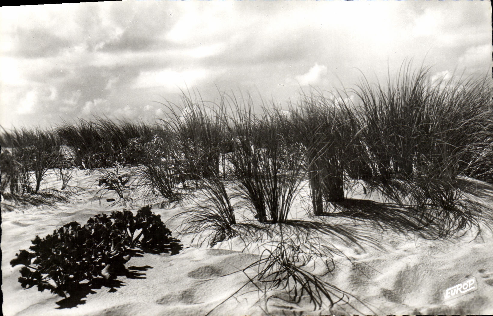 CPM Soir D'Orage Sur La Dune