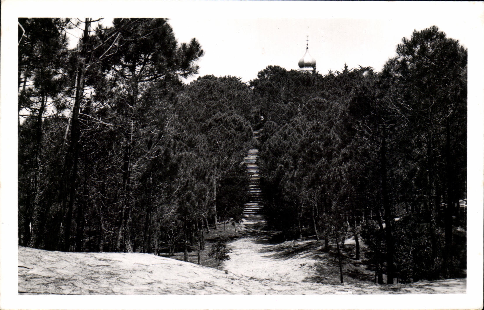 CPM De St Jean De Monts La Chapellenie Escalier