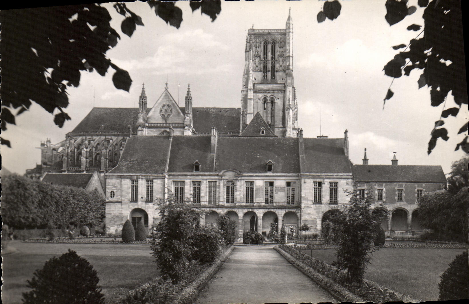 CPM Meaux Le Musee Et la Cathedrale vus du jardin Bossuet