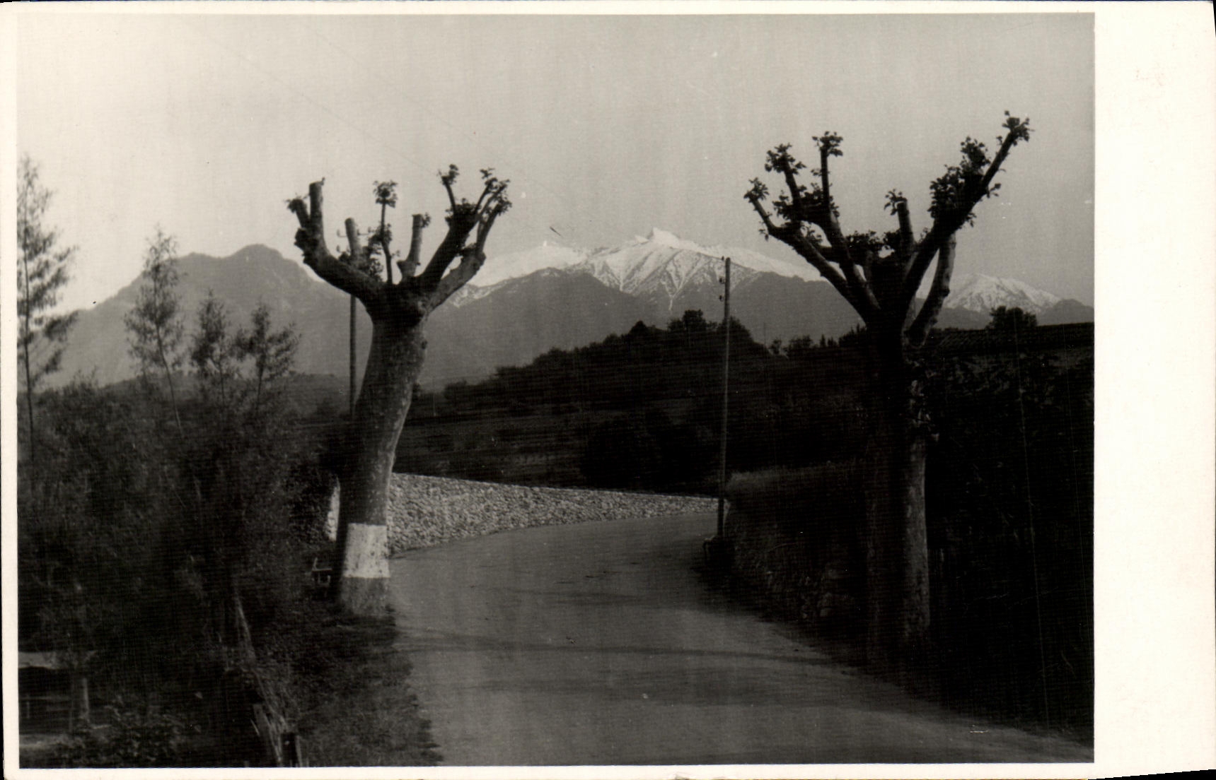 MODERN CARD the Eastern Pyrenees