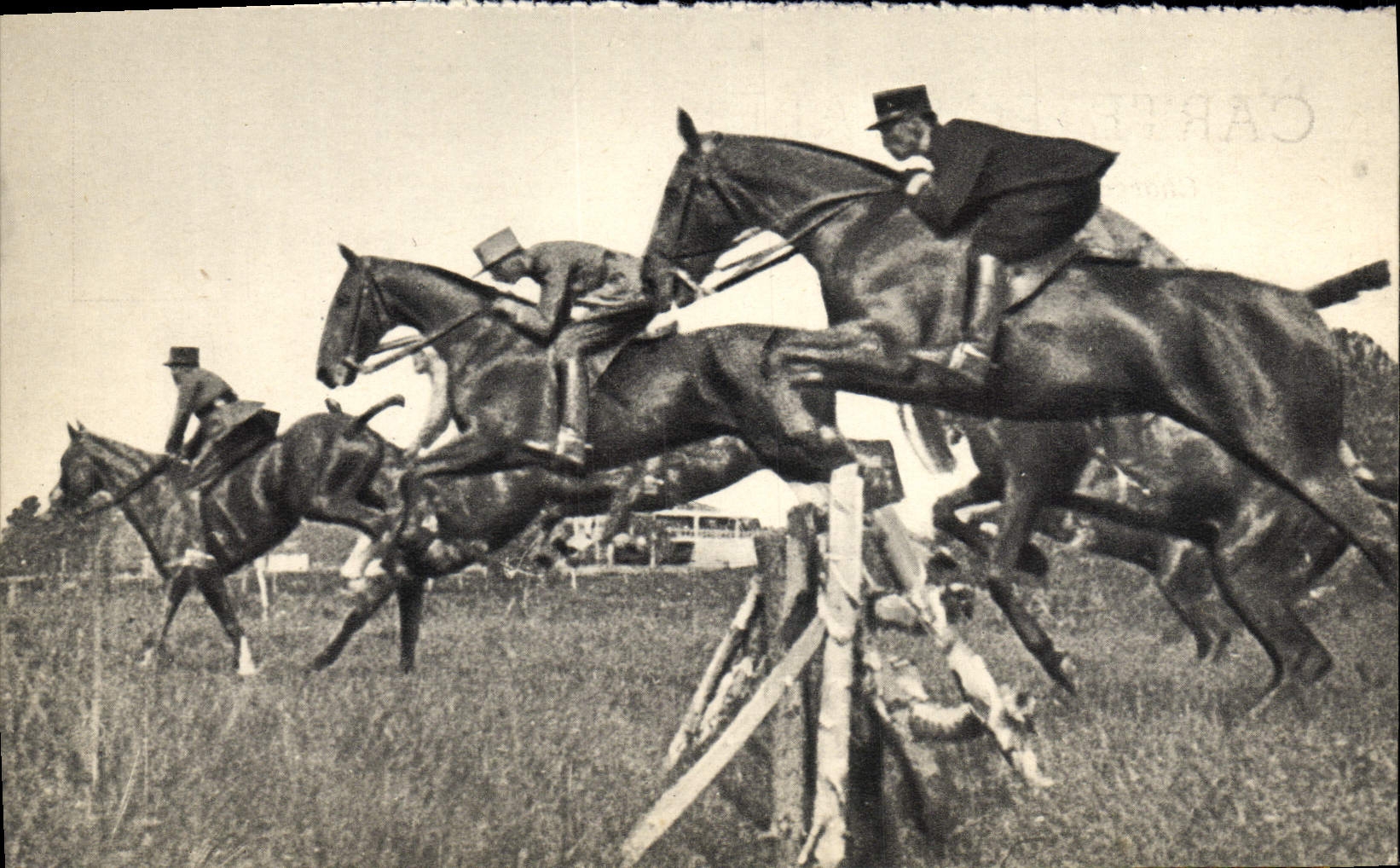 POSTAL MODERNA la escuela de Militaria de la impulsión de Saumur de crió los caballos