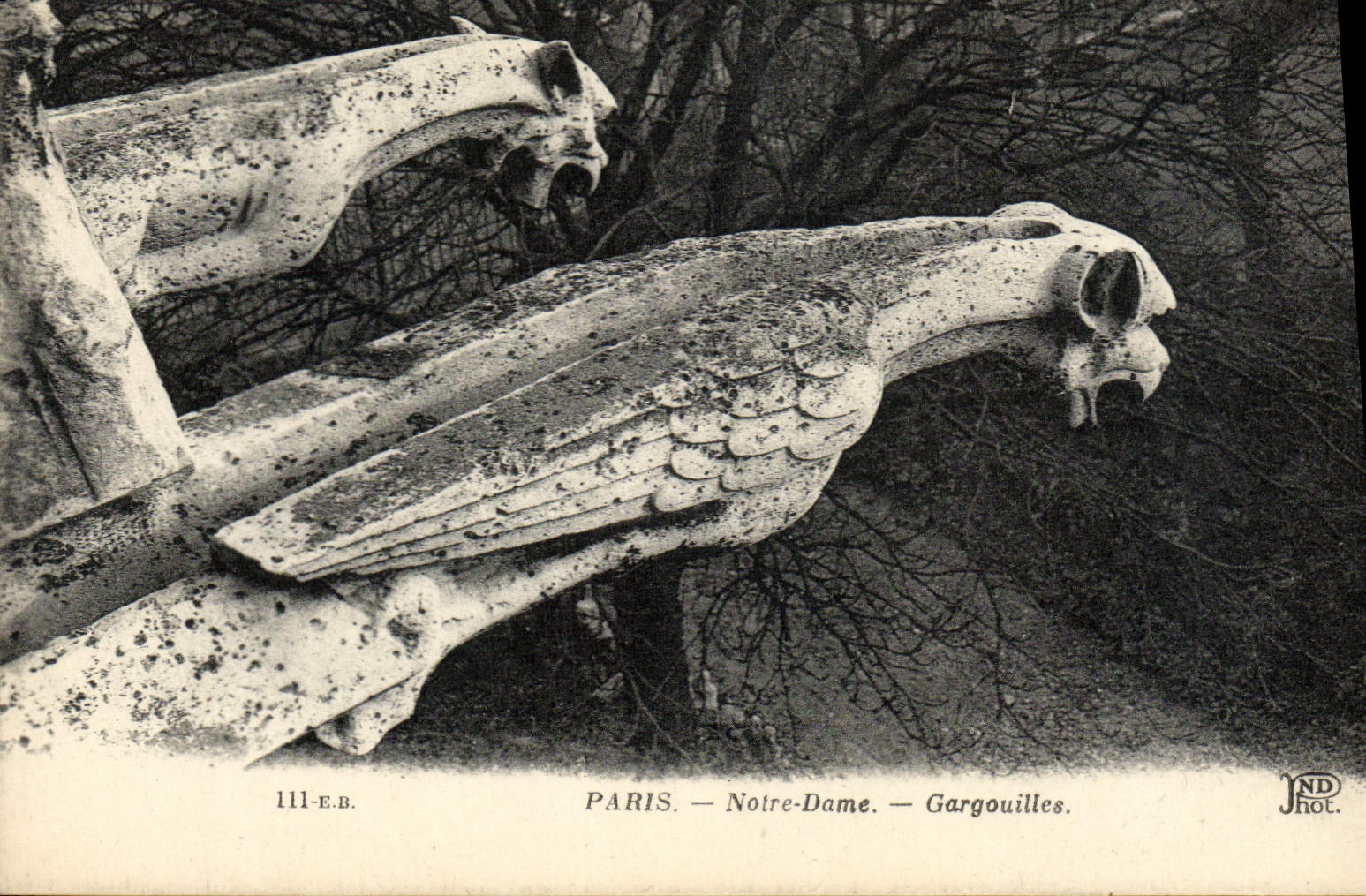 CPA Paris Niotre Dame Gargouilles
