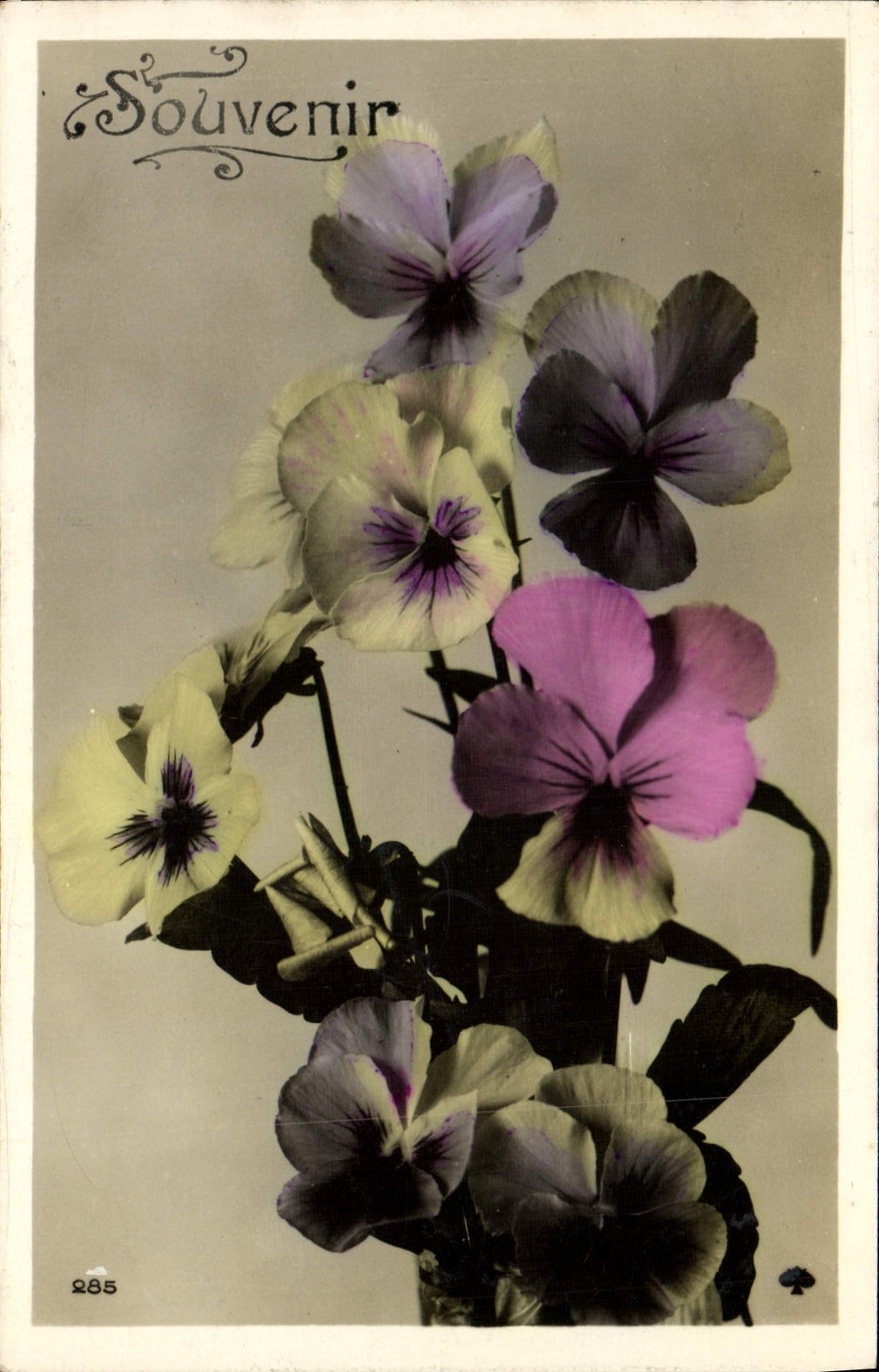 VINTAGE POSTCARD To remember Flowers Clover