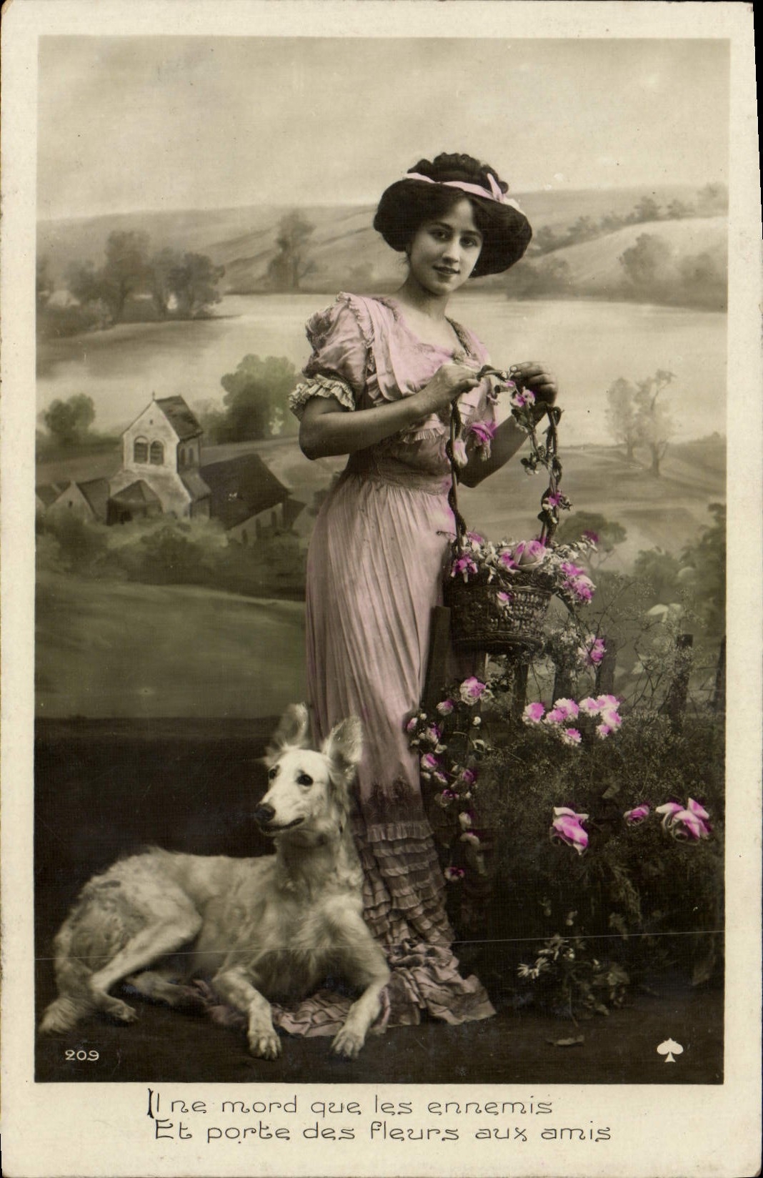 VINTAGE POSTCARD One Bites That Ennmis And Porte Flowers With the Friends Woman Dog