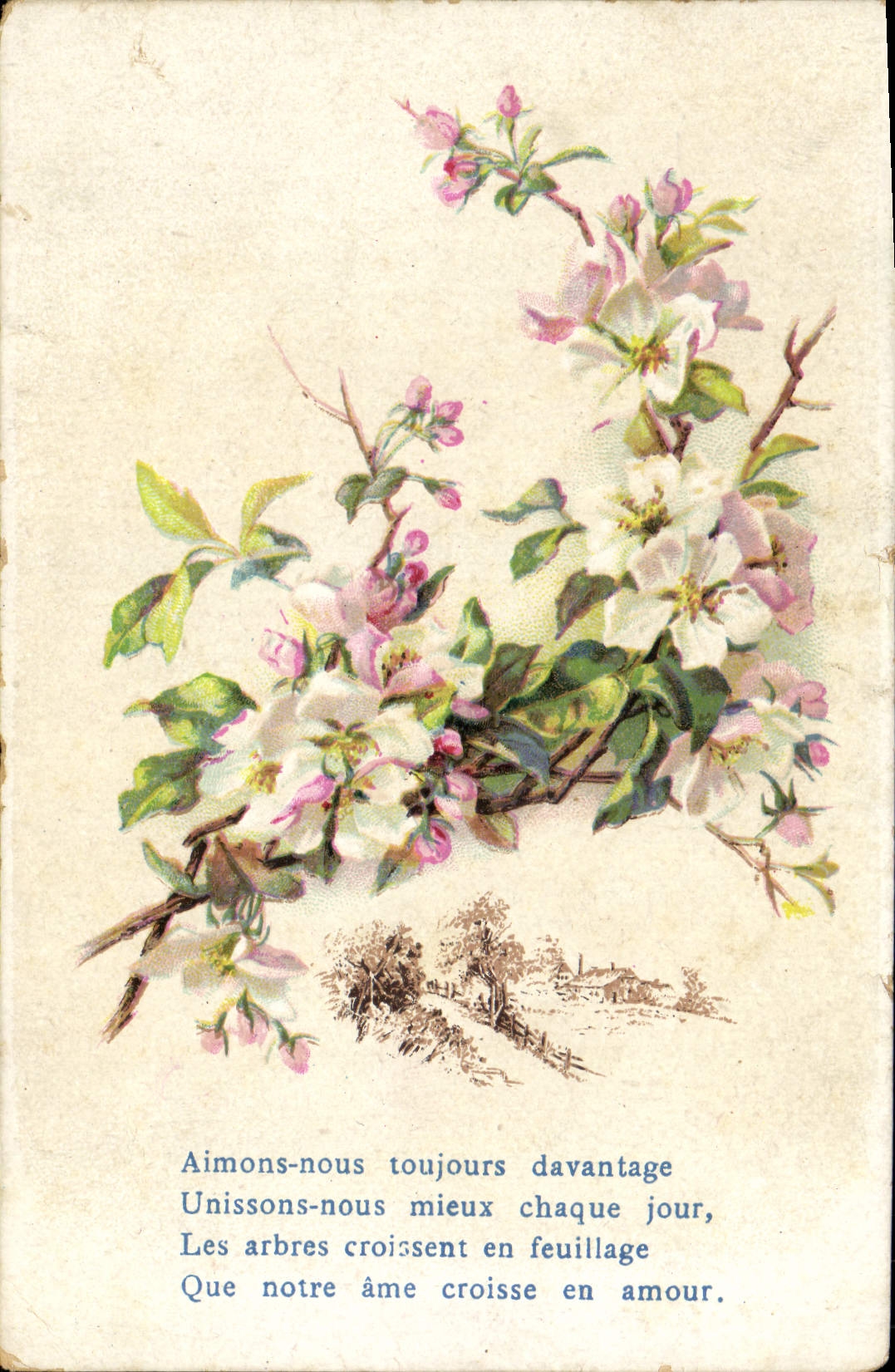 CPA Fantaisie Fleurs