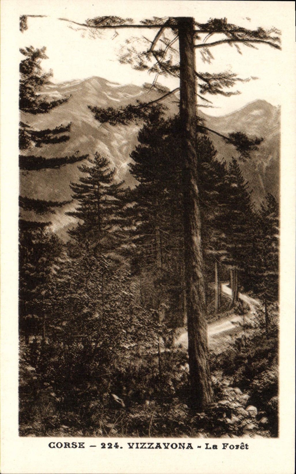 POSTAL Córcega Vizzavona de la VENDIMIA el taladro
