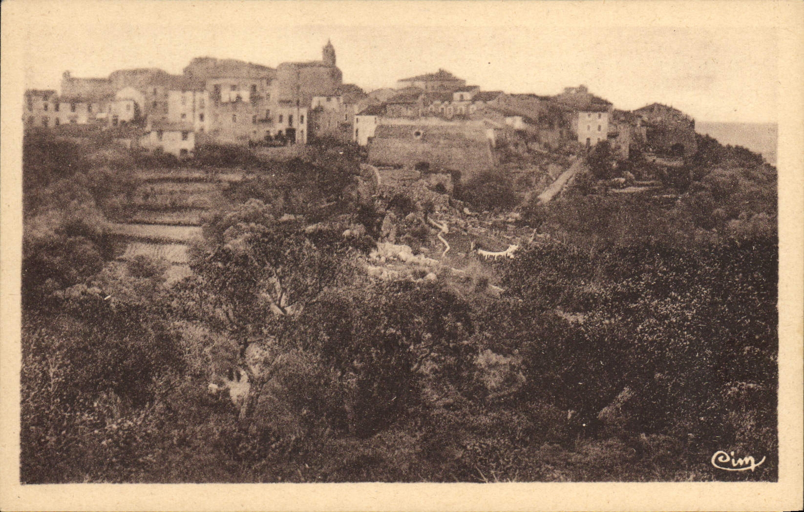 POSTAL Córcega Oporto Vecchio de la VENDIMIA la abertura de Sampiero