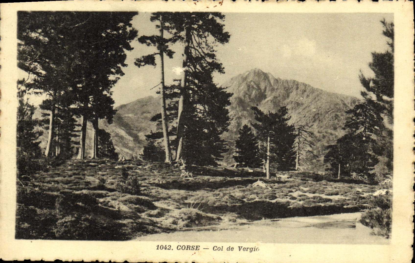 Collar de Córcega de la POSTAL de la VENDIMIA de Vergio