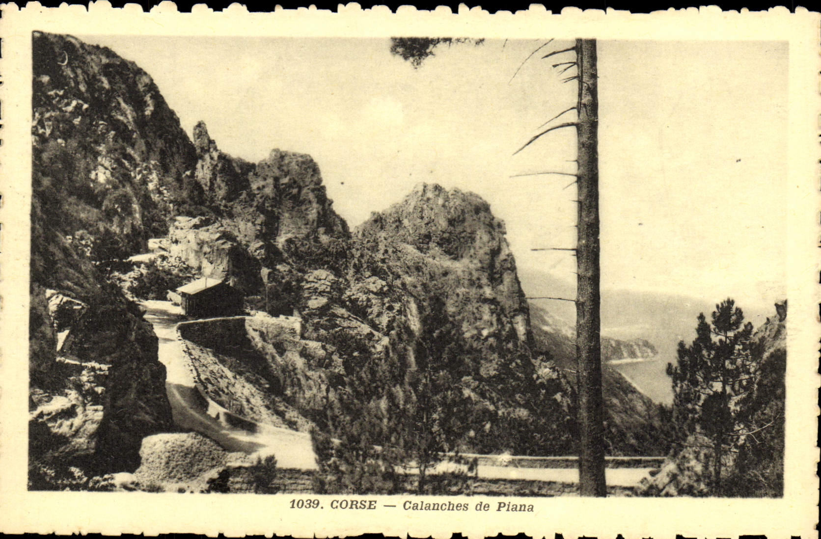 Calas de Córcega de la POSTAL de la VENDIMIA de Córcega Piana Córcega